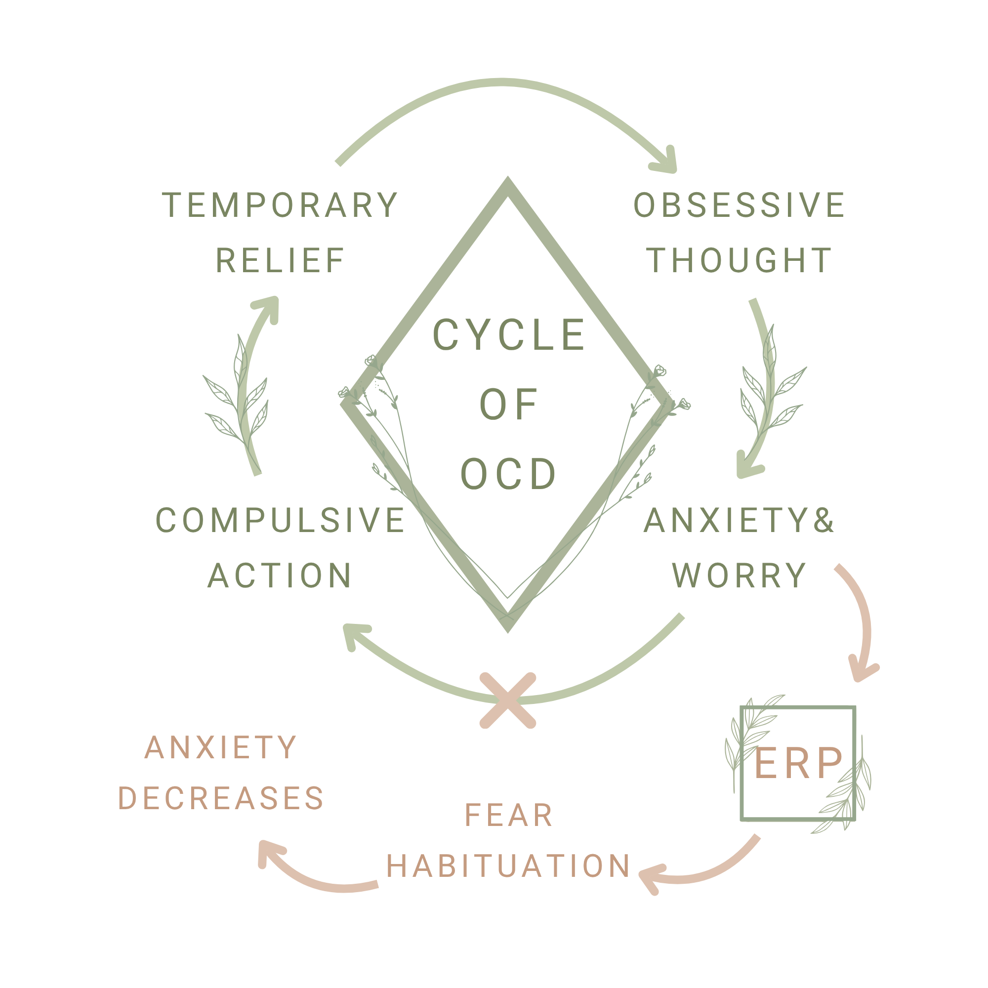 OCD cycle showing intrusive thoughts, anxiety, obsessions, and compulsions, with Exposure and Response Prevention (ERP) interrupting the cycle by preventing compulsive responses and reducing anxiety over time.
