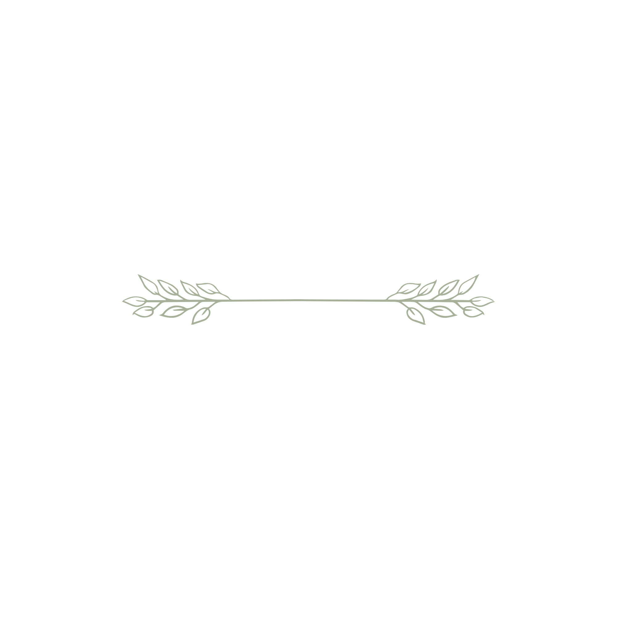 An empty white rectangular space with a decorative green leaf border at the bottom.