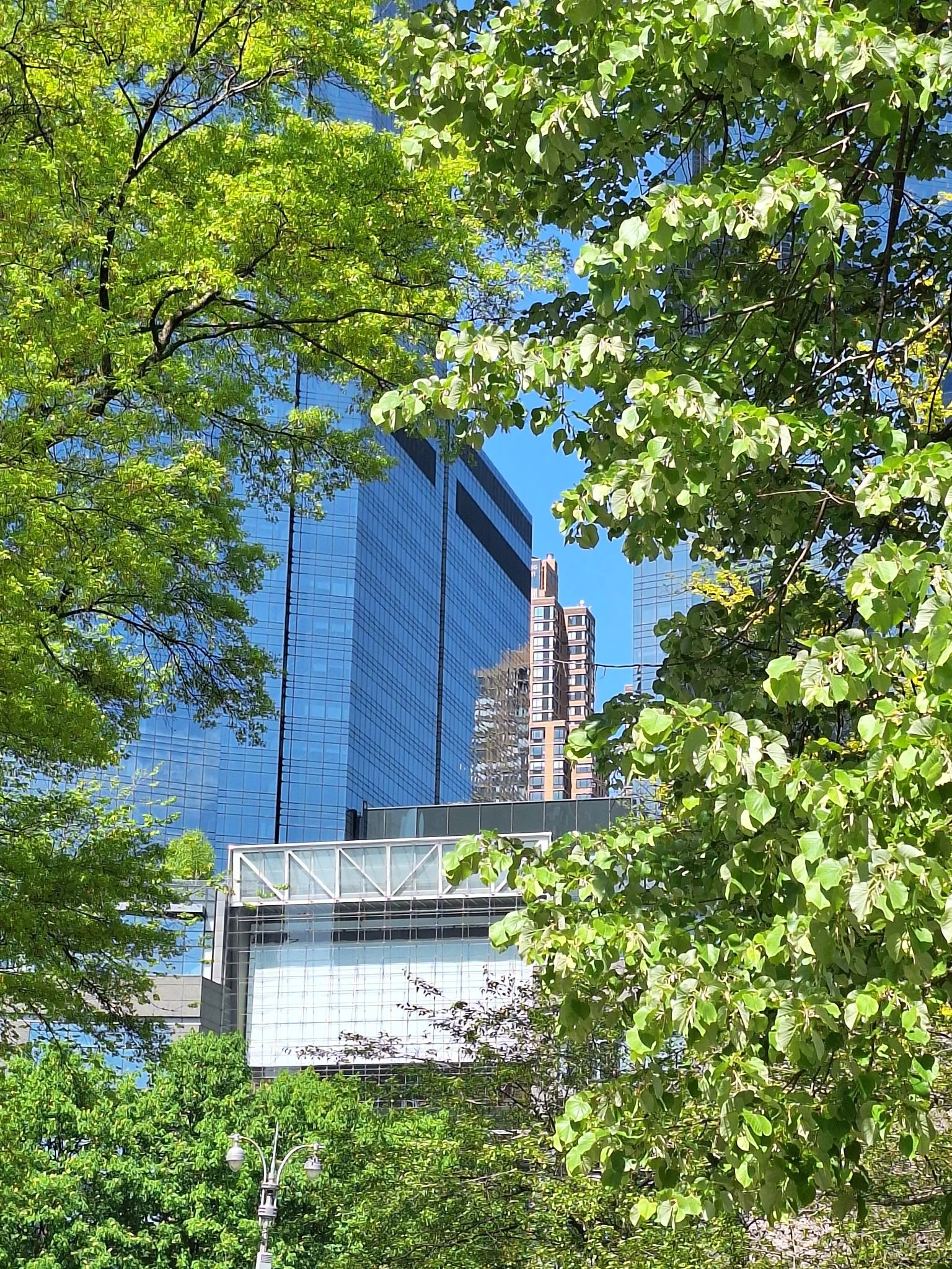 20260424_110532.JPG