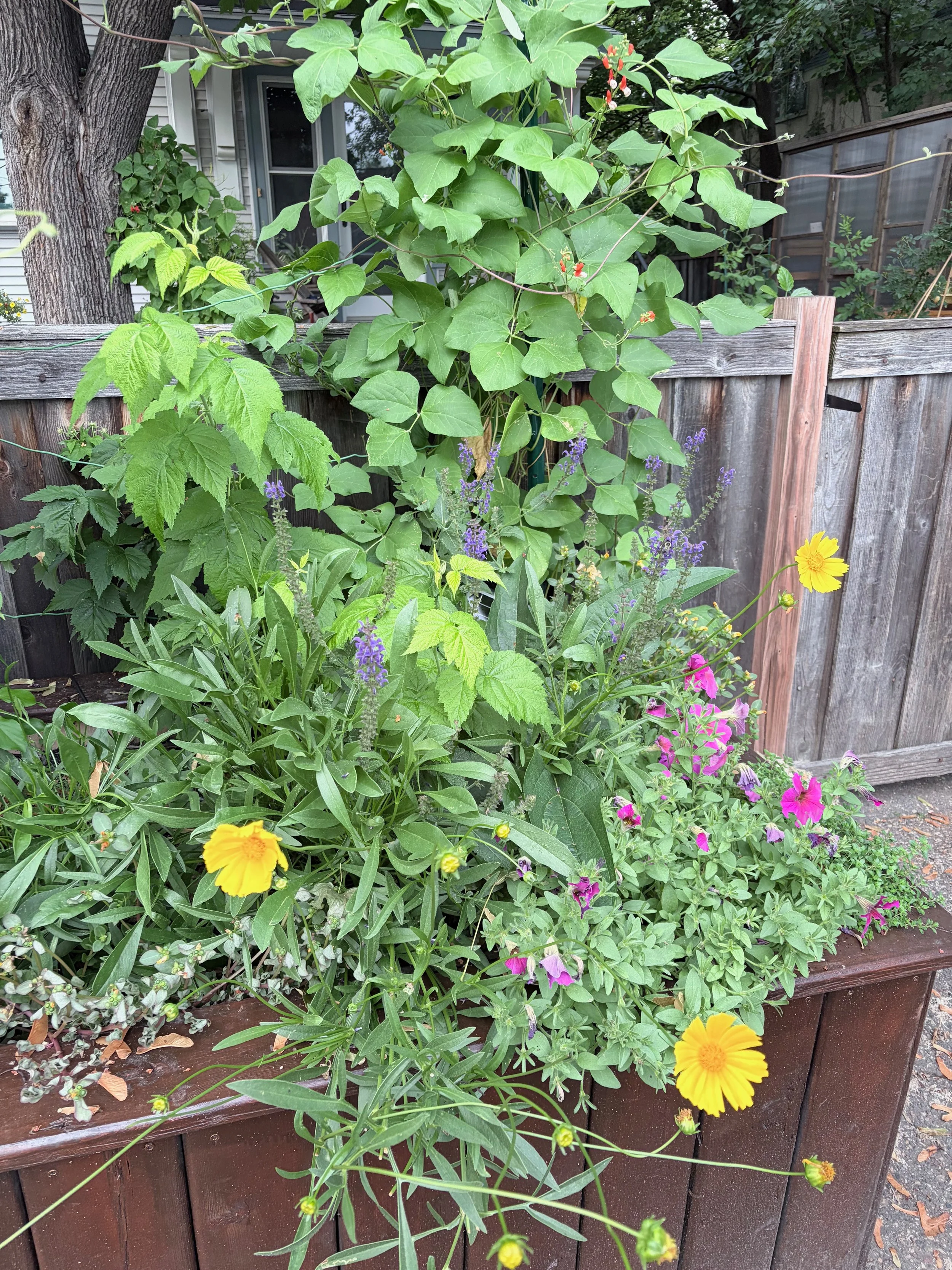 A flower garden with yellow, pink, purple, and blue flowers growing in a wooden planter box in front of a weathered wooden fence. Green foliage and a large tree trunk are visible in the background.