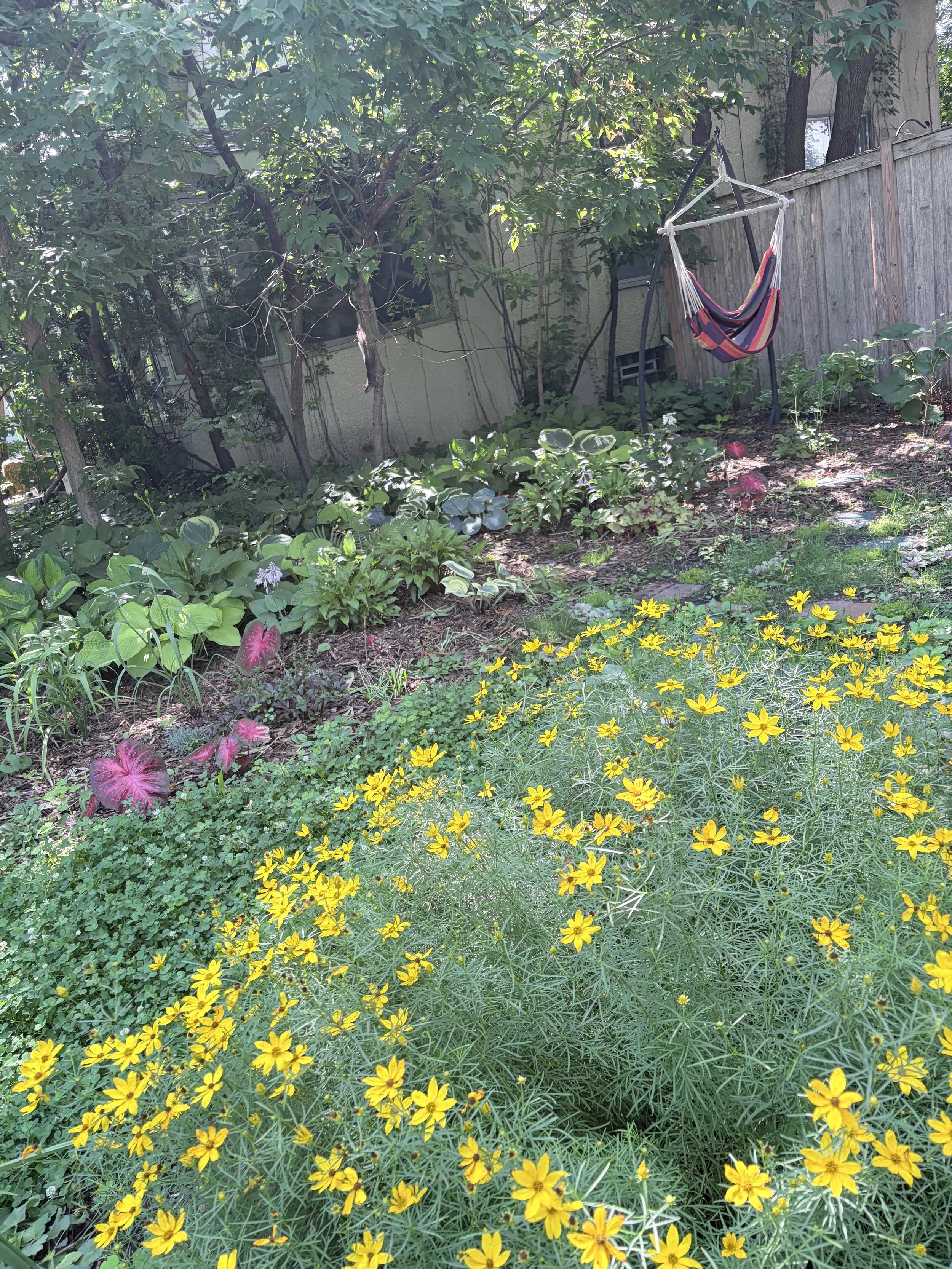A garden with various green plants, yellow flowers, and a wooden fence. A hammock chair hangs from a stand among the plants. In the background, a house with windows and trees.