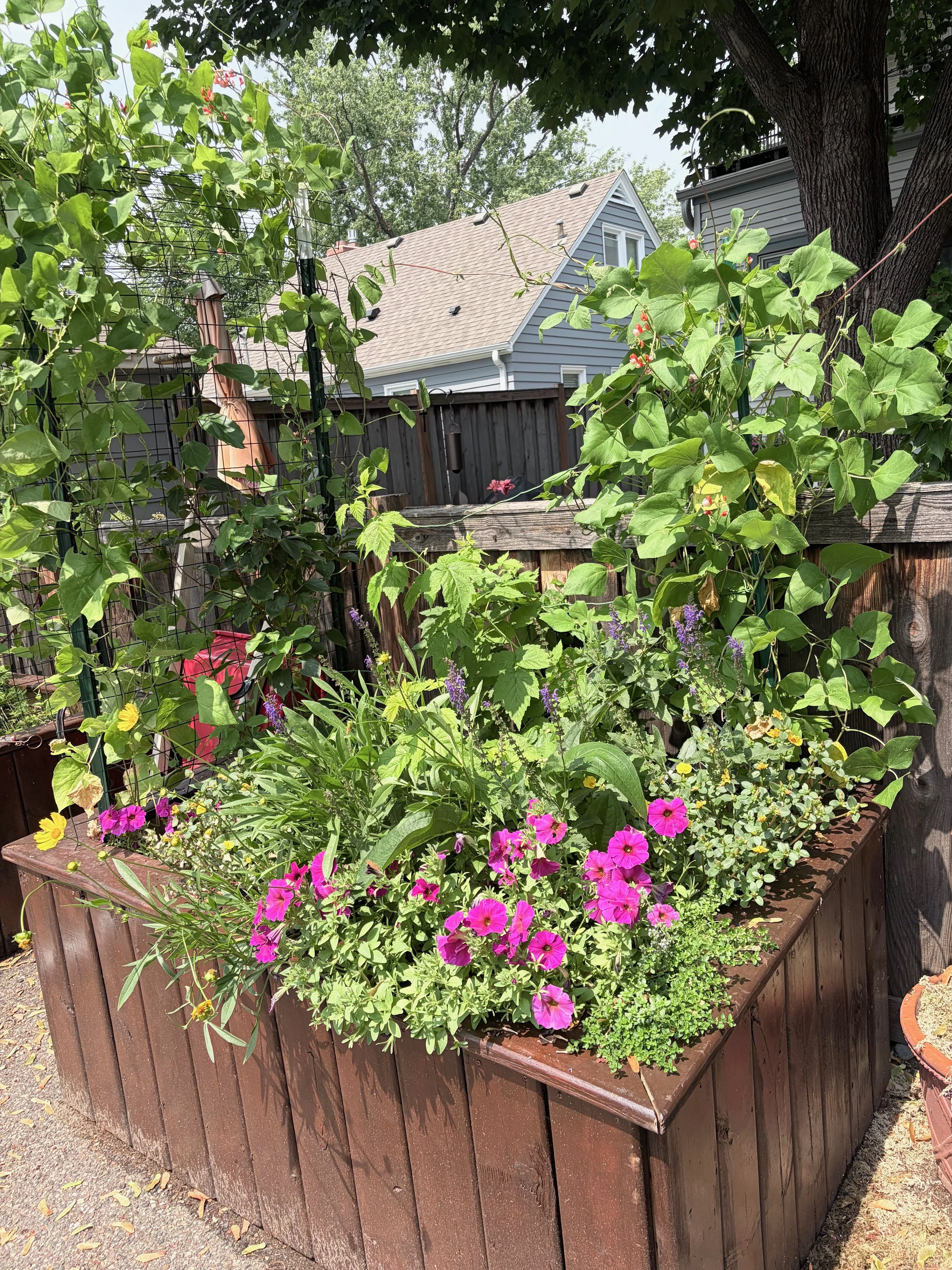 A raised garden bed filled with colorful flowers and green foliage, surrounded by a wooden fence.