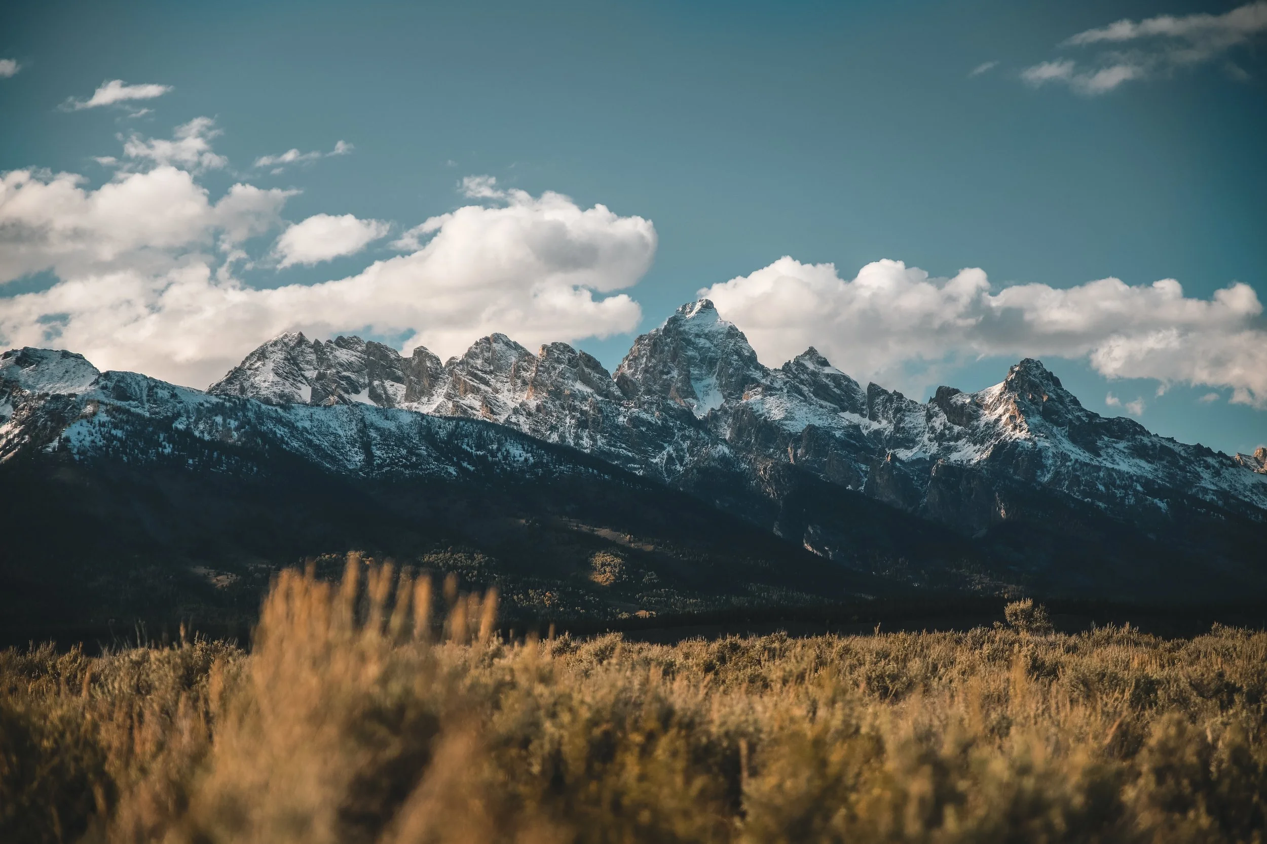 Snow-capped mountain range under partly cloudy sky with grassy plains in the foreground.