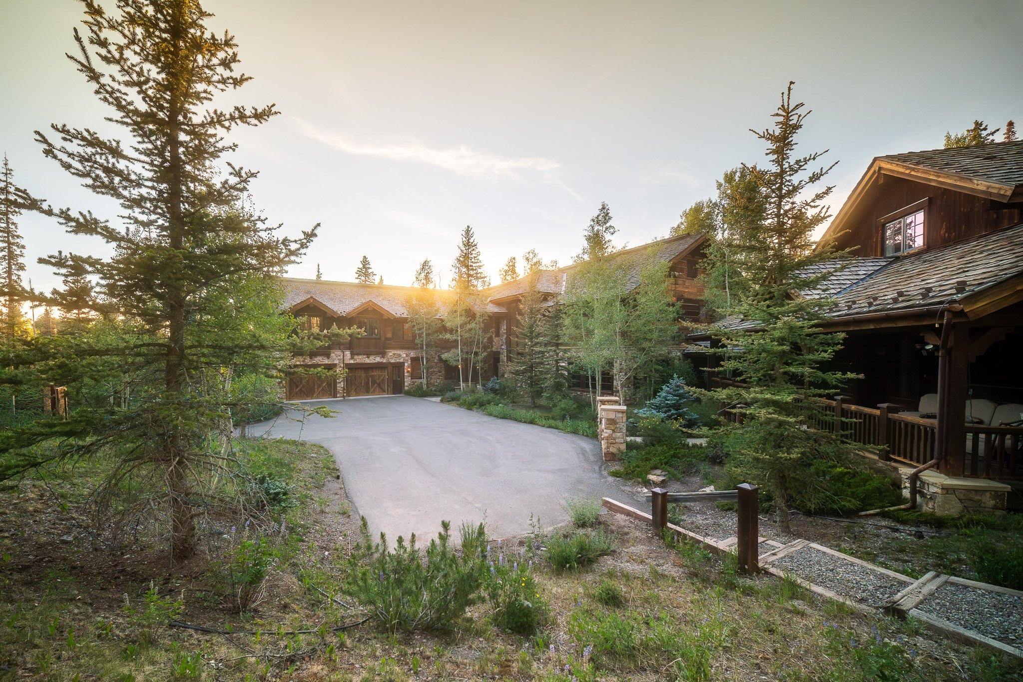 A wooded driveway leading to a house with a steep roof surrounded by tall pine trees and a garden, with sunlight filtering through the trees.