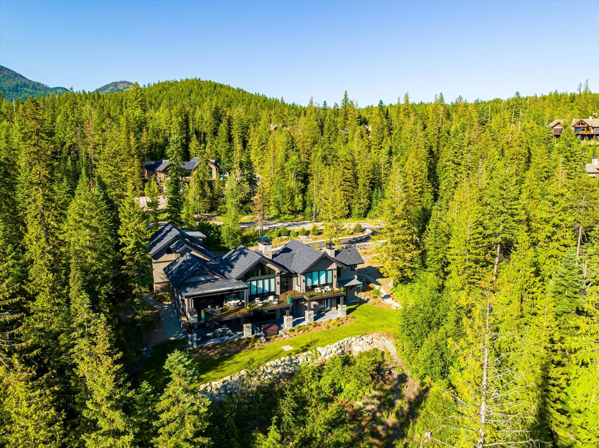 Aerial view of modern houses nestled among tall pine trees in a forested mountainous area with a clear blue sky.