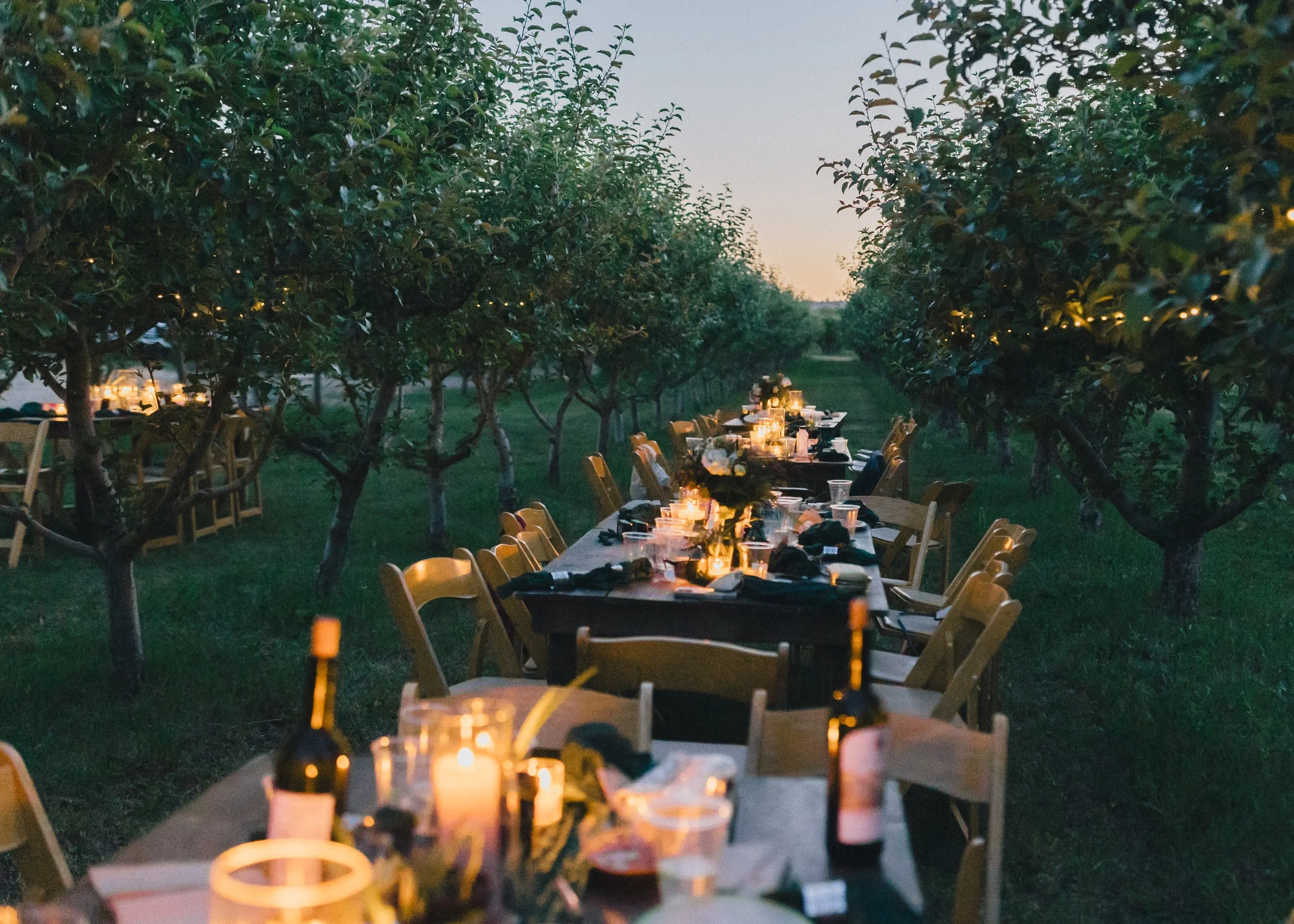Outdoor dining setup in a lush green space with trees, long table with chairs, and candle lighting, during dusk.