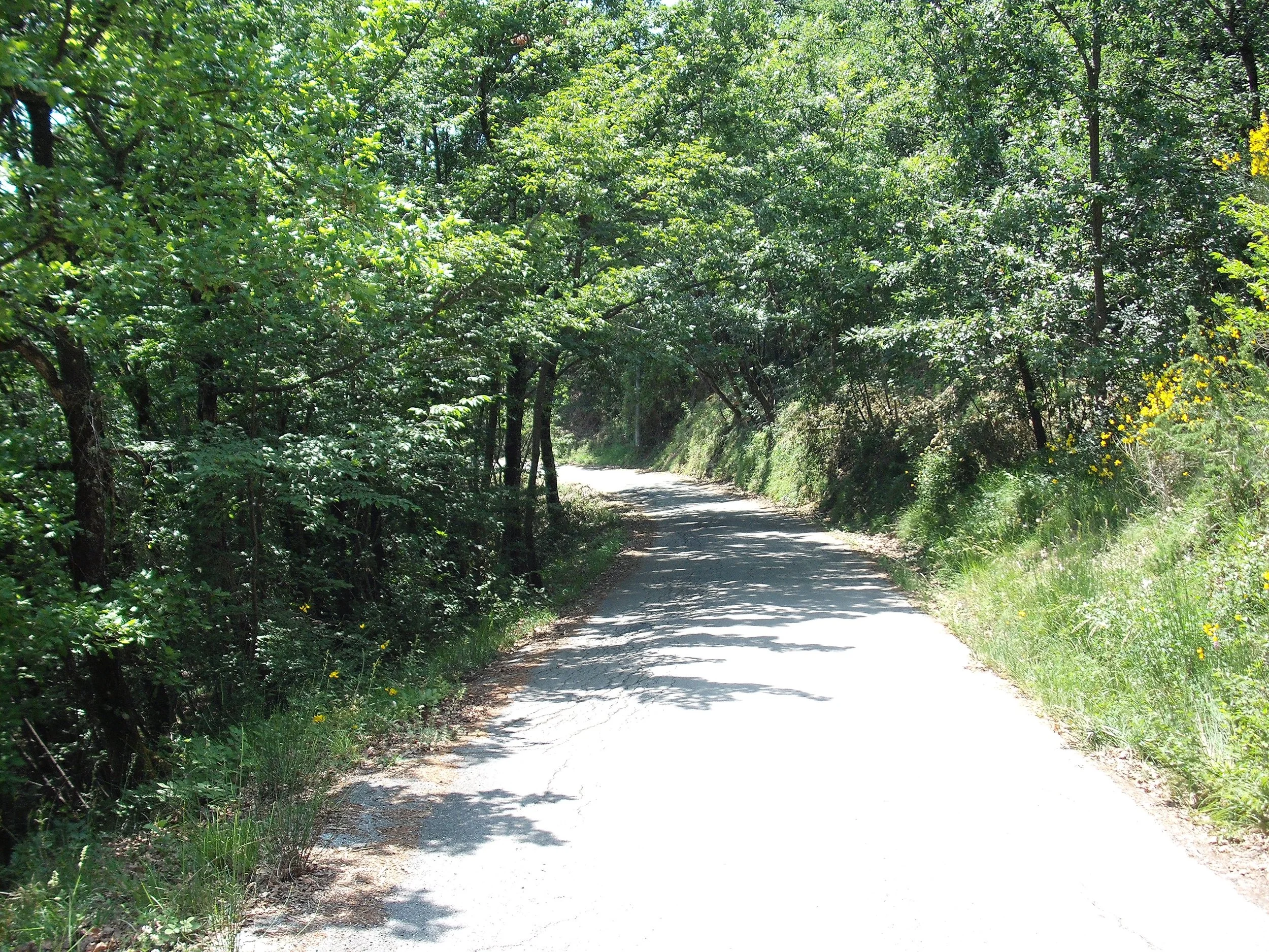 DSCF1212.JPG