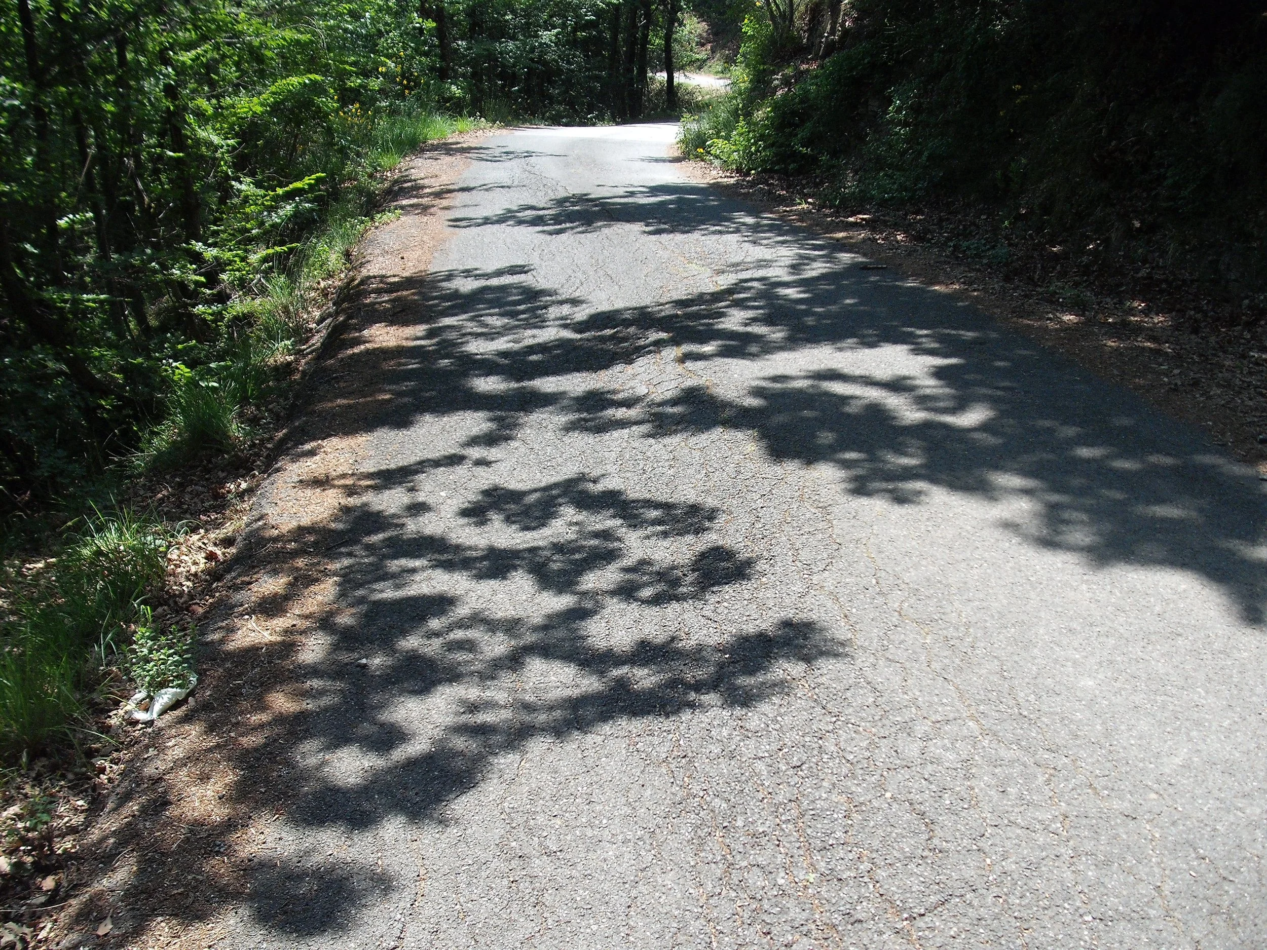 I love the trees' shadows on the roads.