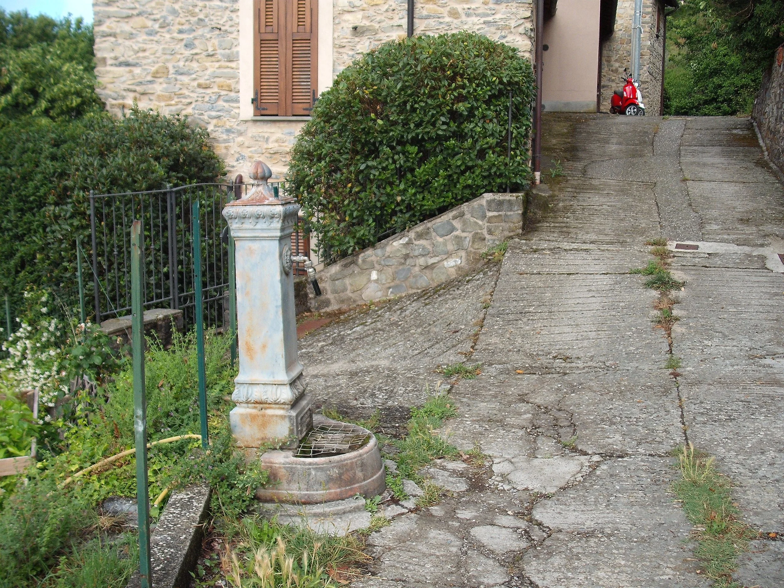 DSCF1311.JPG