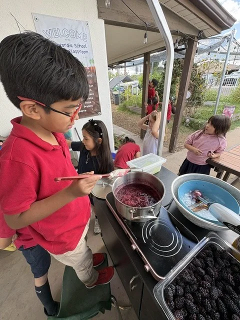 Making our famous blackberry jam in the garden. Every year, our blackberry vines in the school garden produce huge, juicy blackberries. We love making jam to share with all of our students!