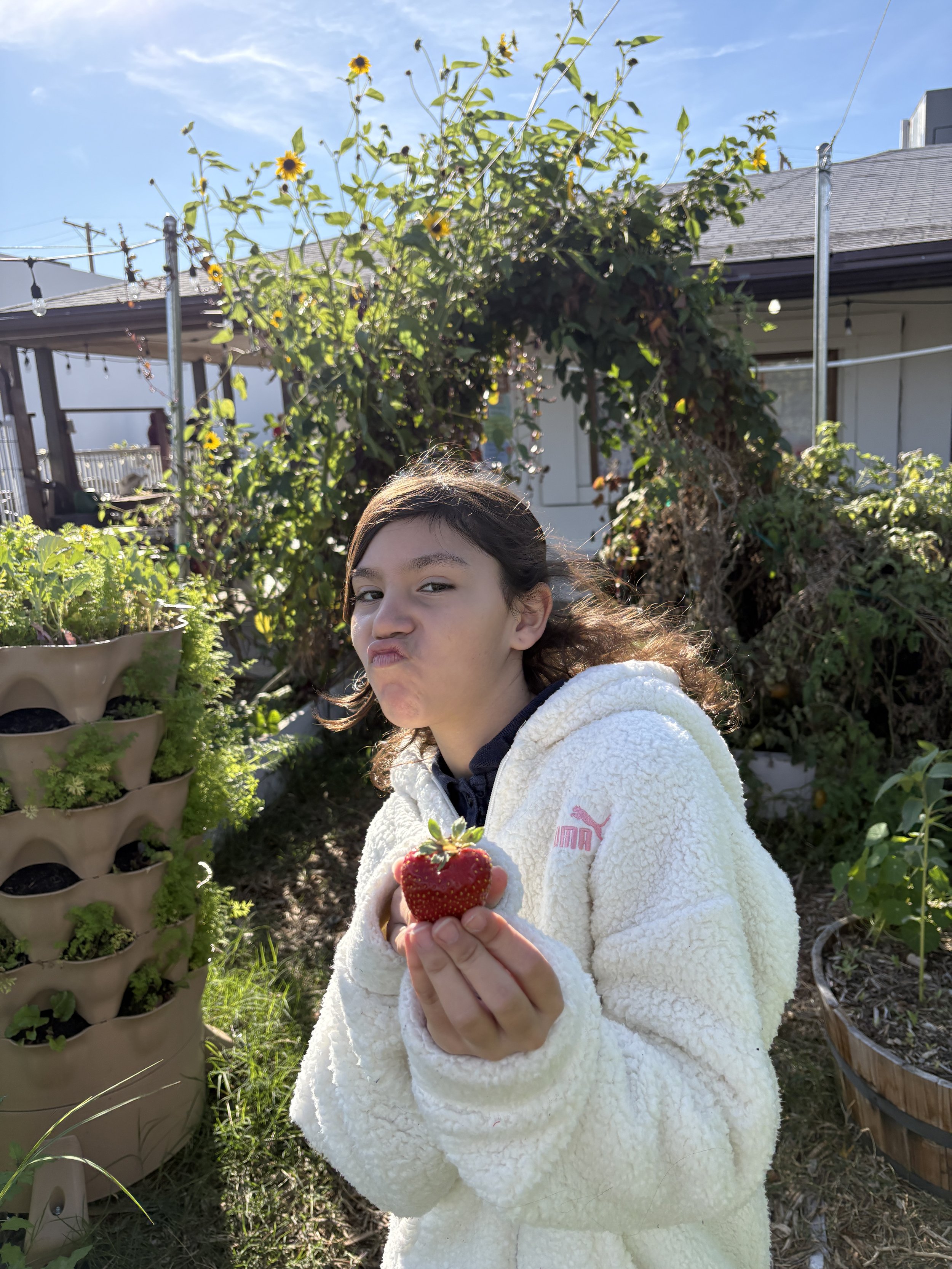 A juicy strawberry