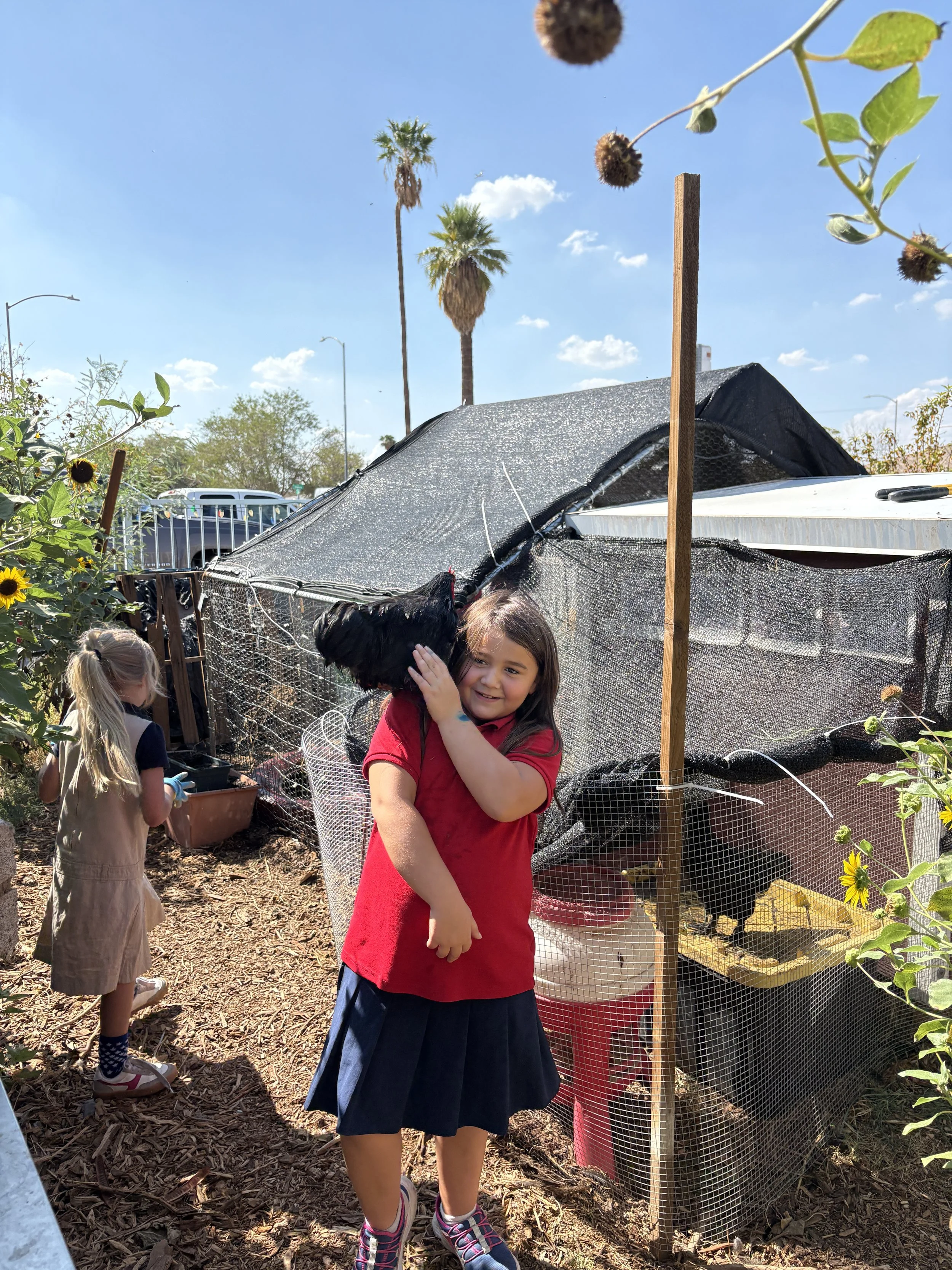 Hanging out with the chickens