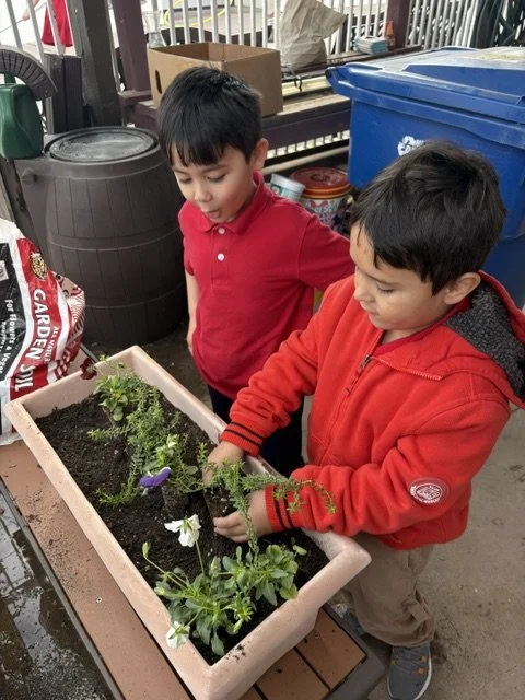 Planting flowers to make our school beautiful