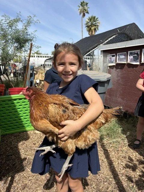 One of our hens, Chick-Fil-A!