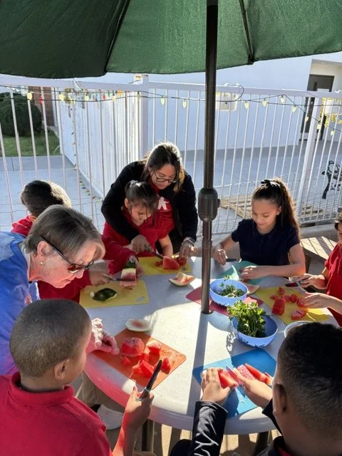 Learning to cut watermelon correctly