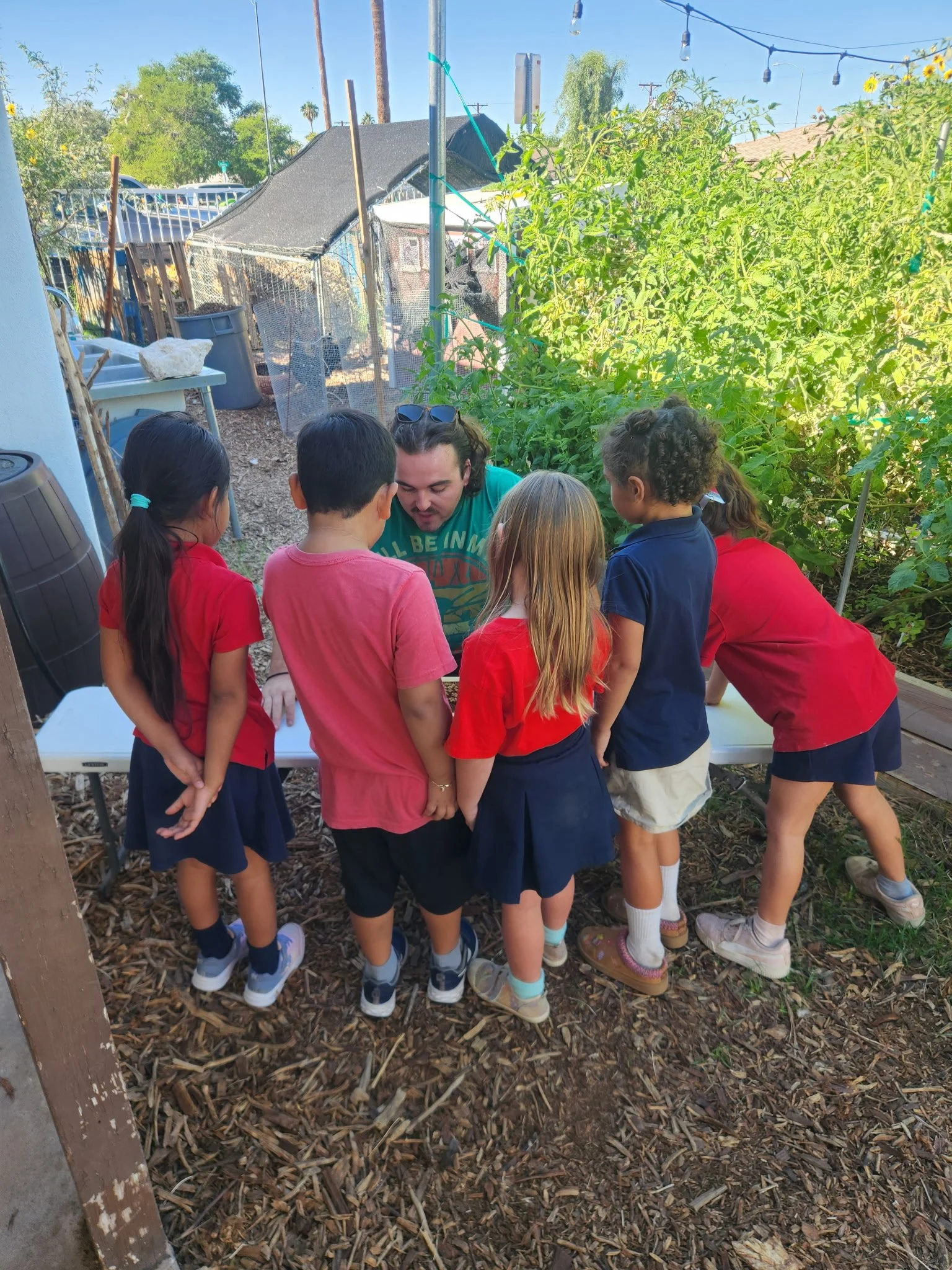 Learning as part of weekly garden lessons