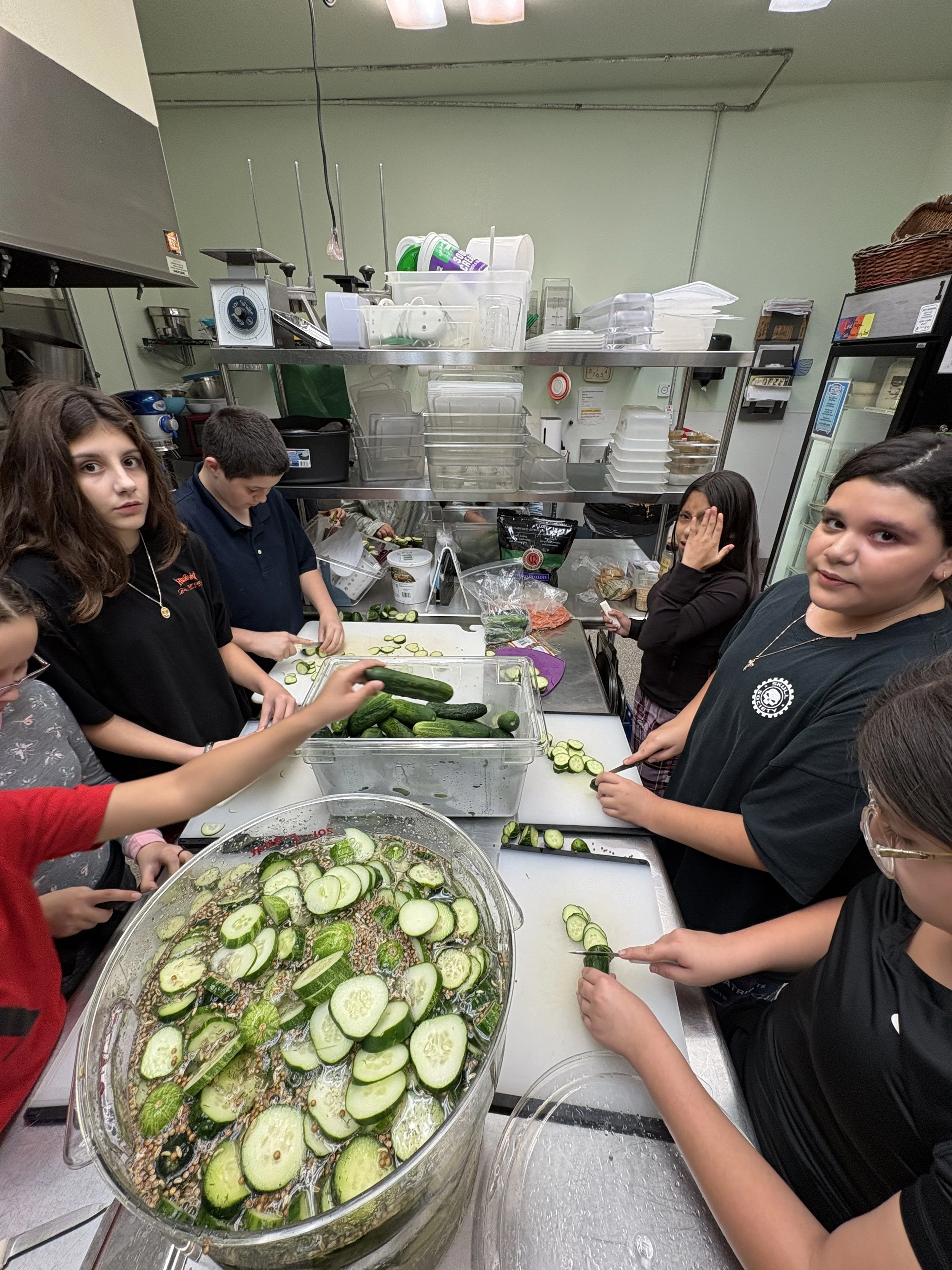 Making pickles!