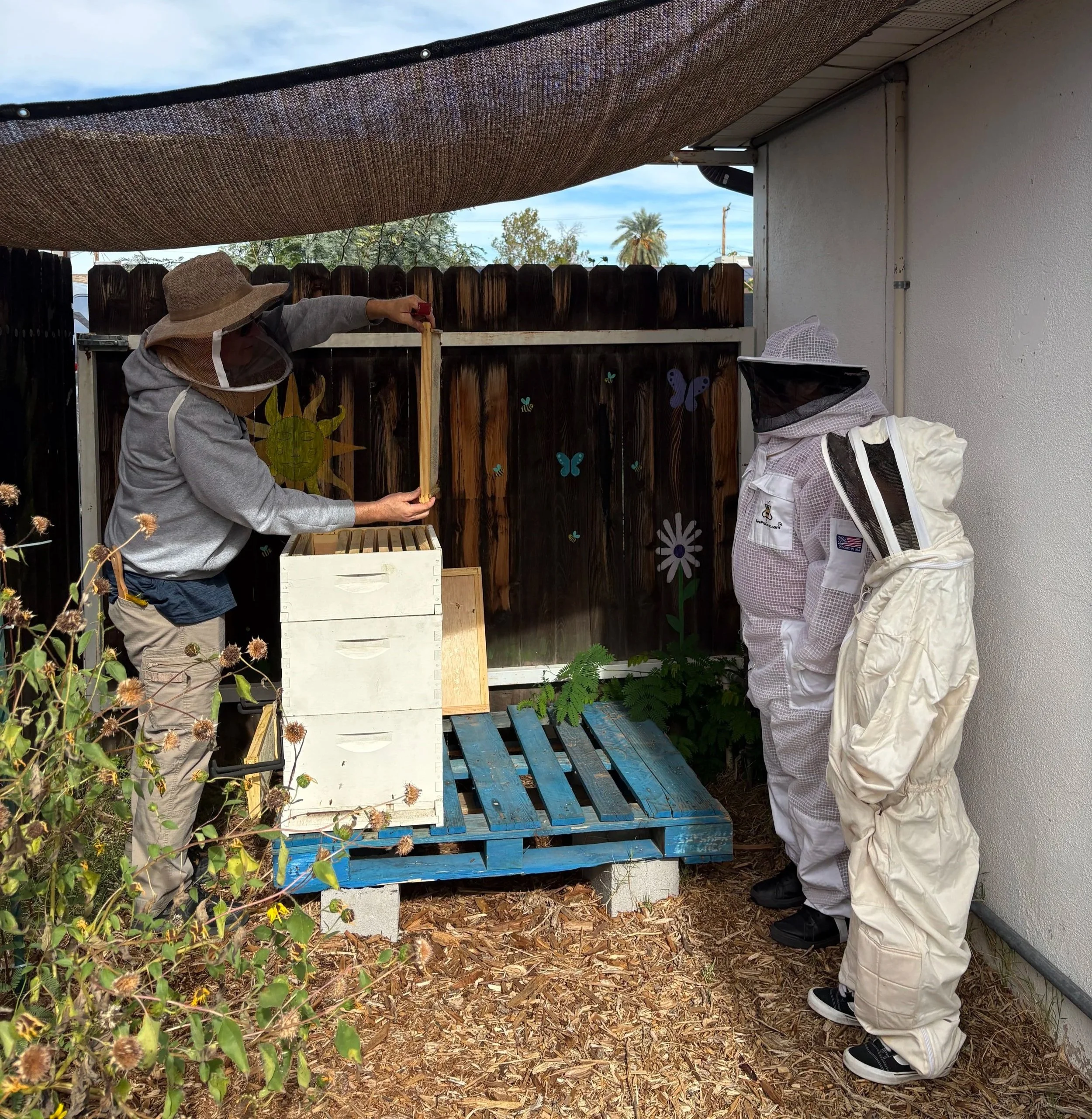Two people in protective clothing, including beekeeping suits and veiled hats, gather around a wooden hive outside in a backyard with a wooden fence, trees, and a partly cloudy sky.