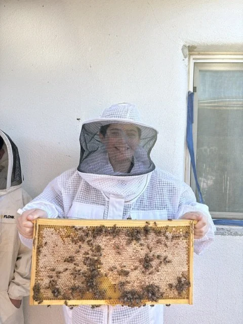 A member of our Bee Club holds a frame from the school bee hive. In our "Secret Garden," Concordia has a fully functional educational bee hive. To learn more about the bee club or purchase honey, click here.