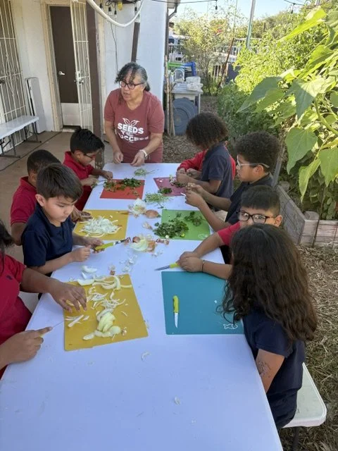 Ms. Iris teaching students proper knife skills as we teach students to cook in the school garden