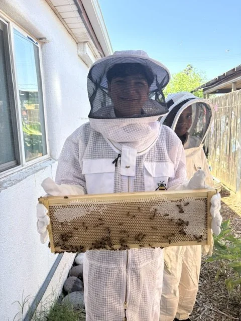 A member of our Bee Club holds a frame from the school bee hive. In our "Secret Garden," Concordia has a fully functional educational bee hive. To learn more about the bee club or purchase honey, click here.