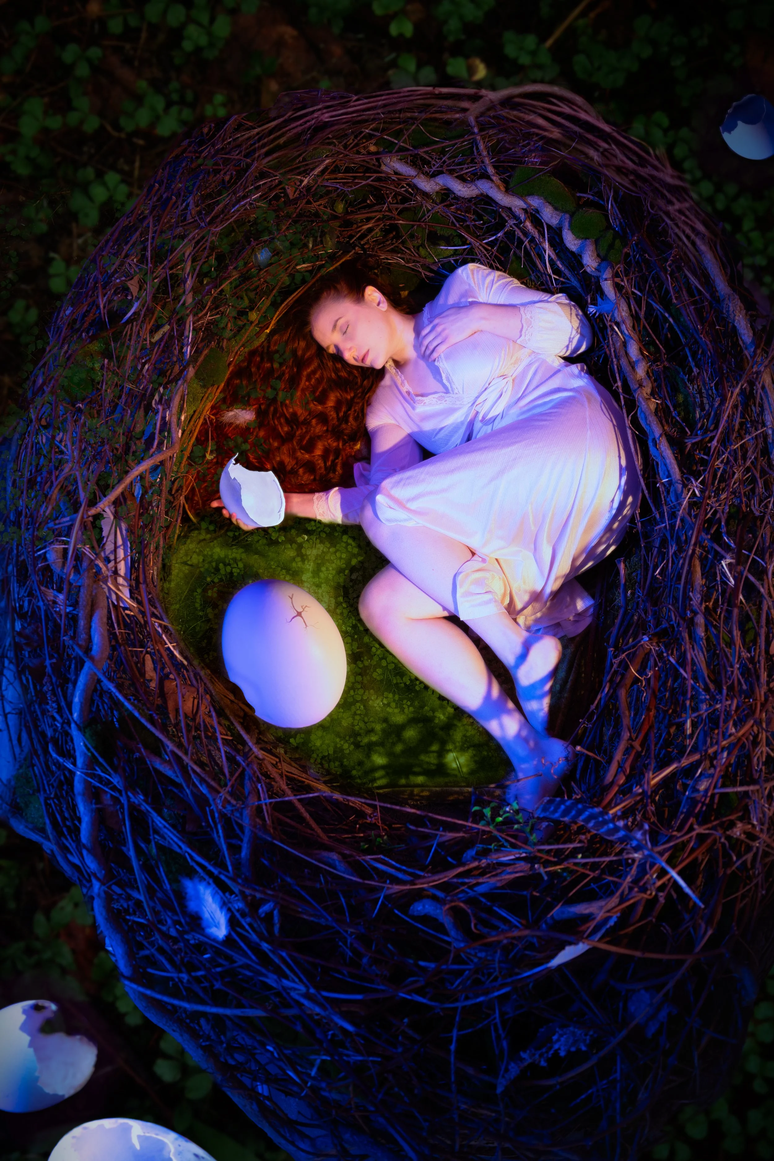 The Nest_v4.jpg