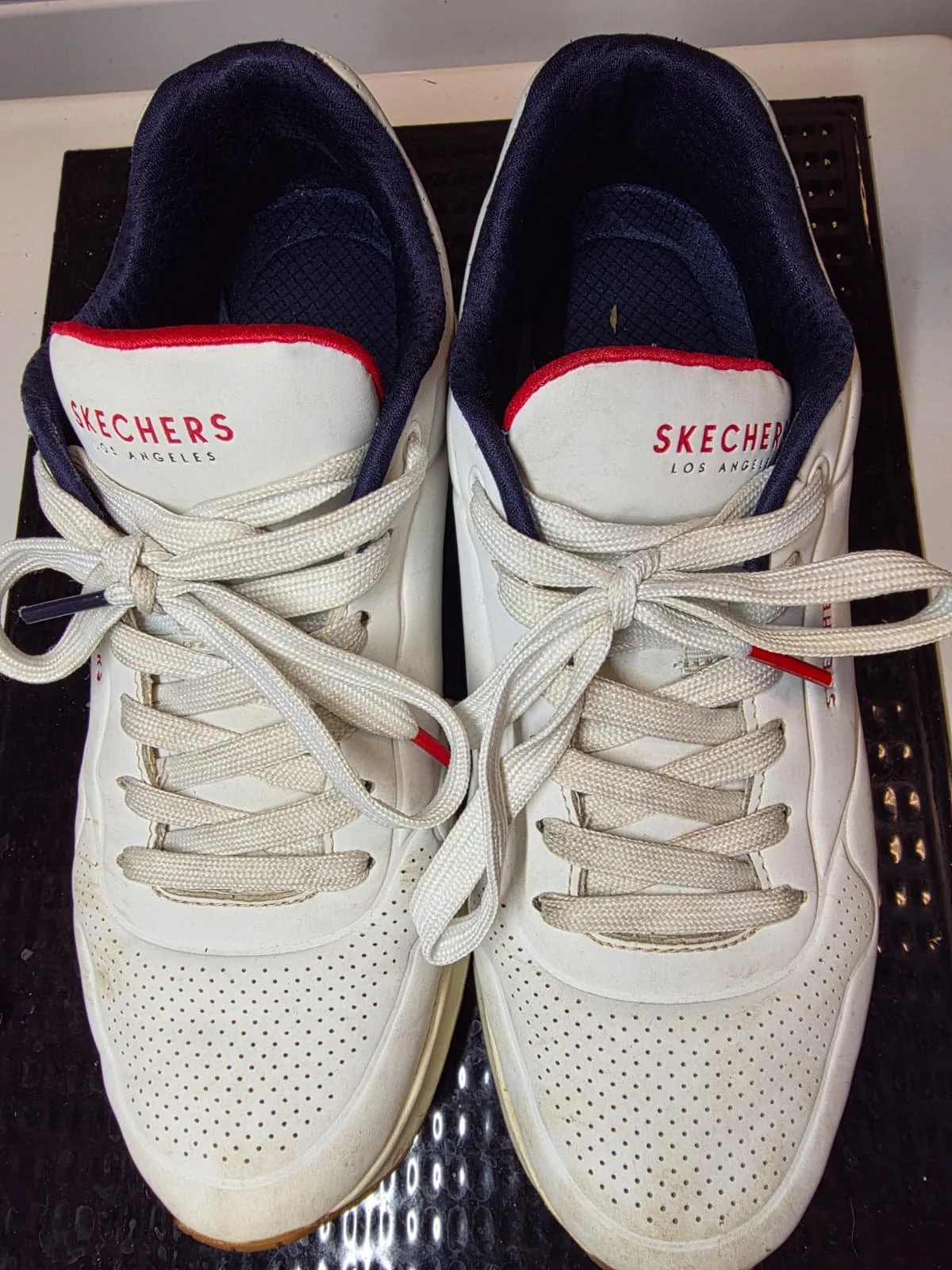 Pair of white Skechers sneakers with navy blue interior and white laces, placed on a black textured surface.