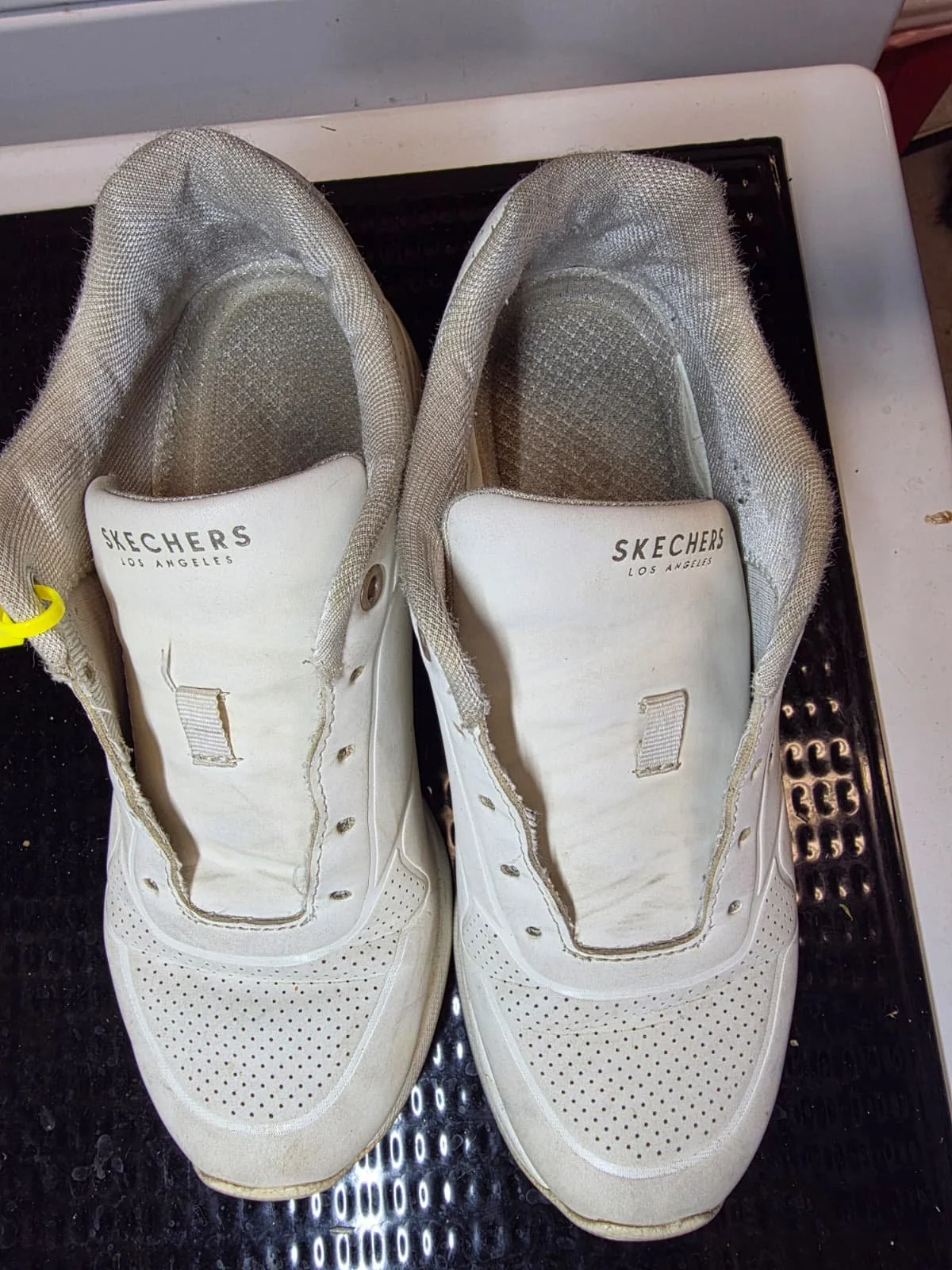 Pair of white Skechers sneakers with worn insoles, placed on a black stovetop.