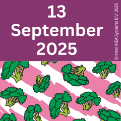 September Meeting – IKEA Museum’s Magical Patterns