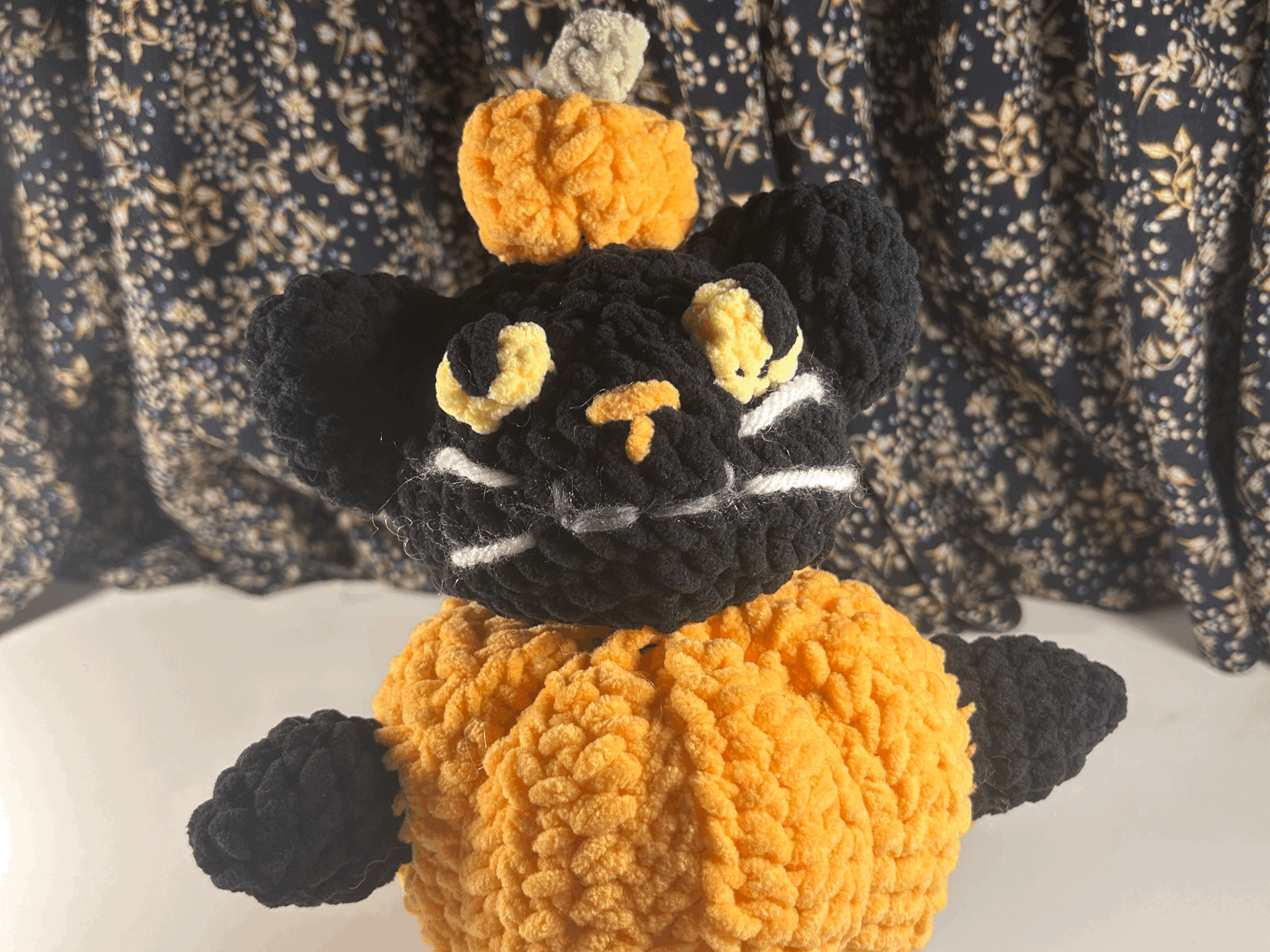Pumpkin Cat