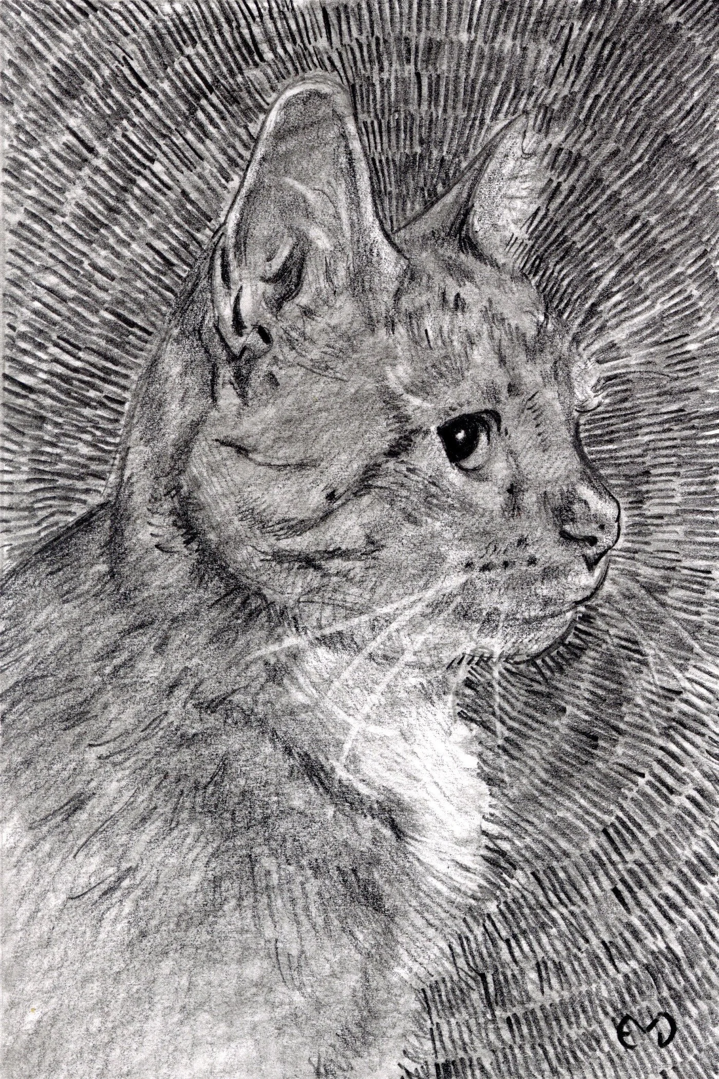 4x6Example.jpg