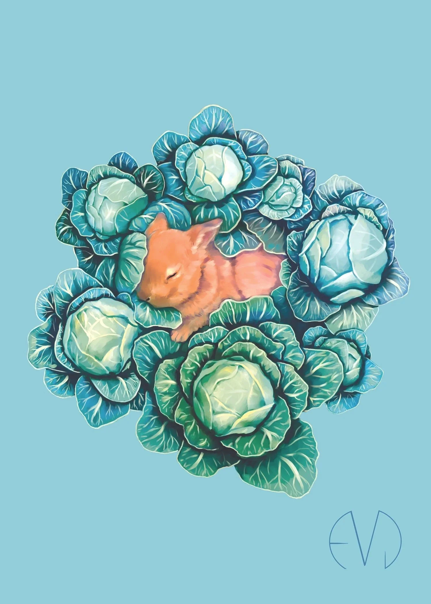 Bunny and Cabbage Print