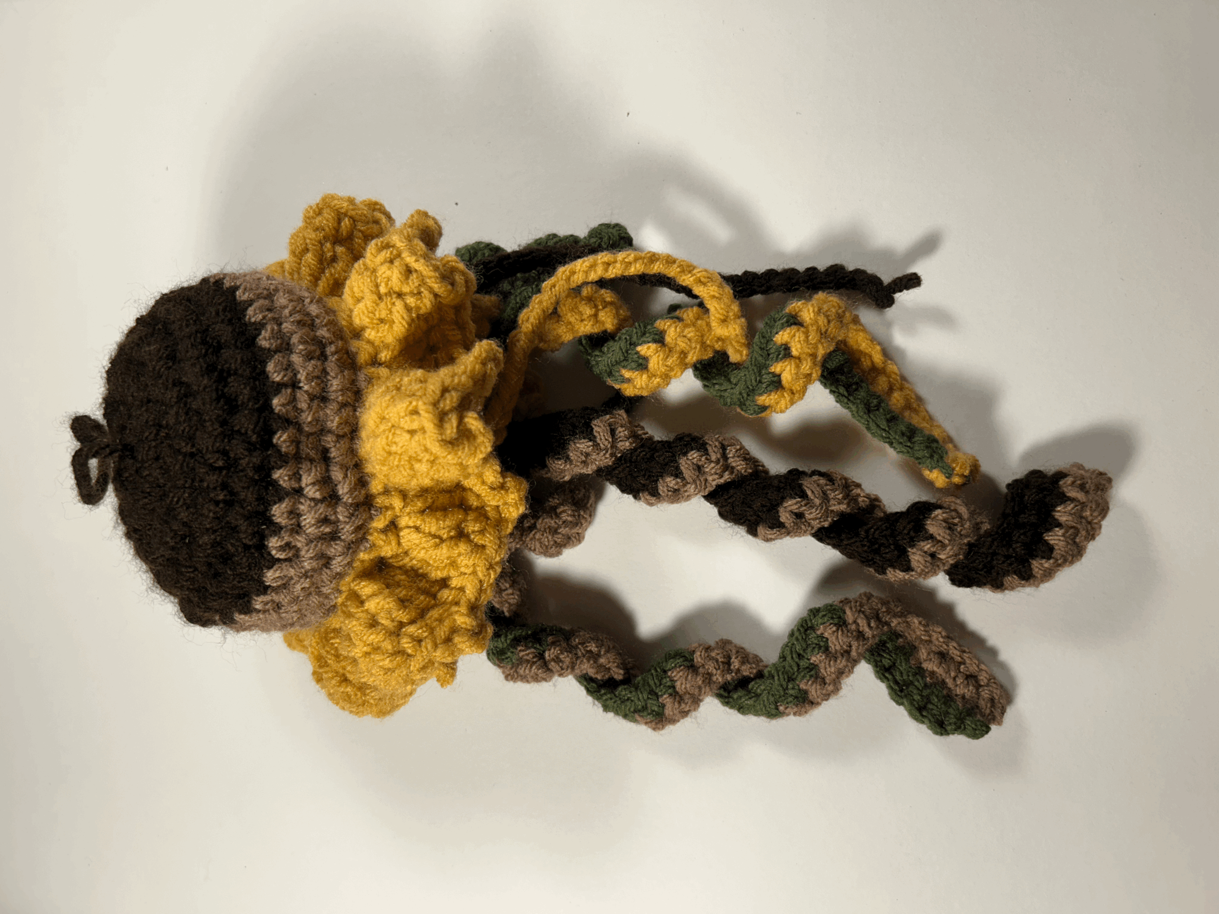 Sunflower Jellyfish