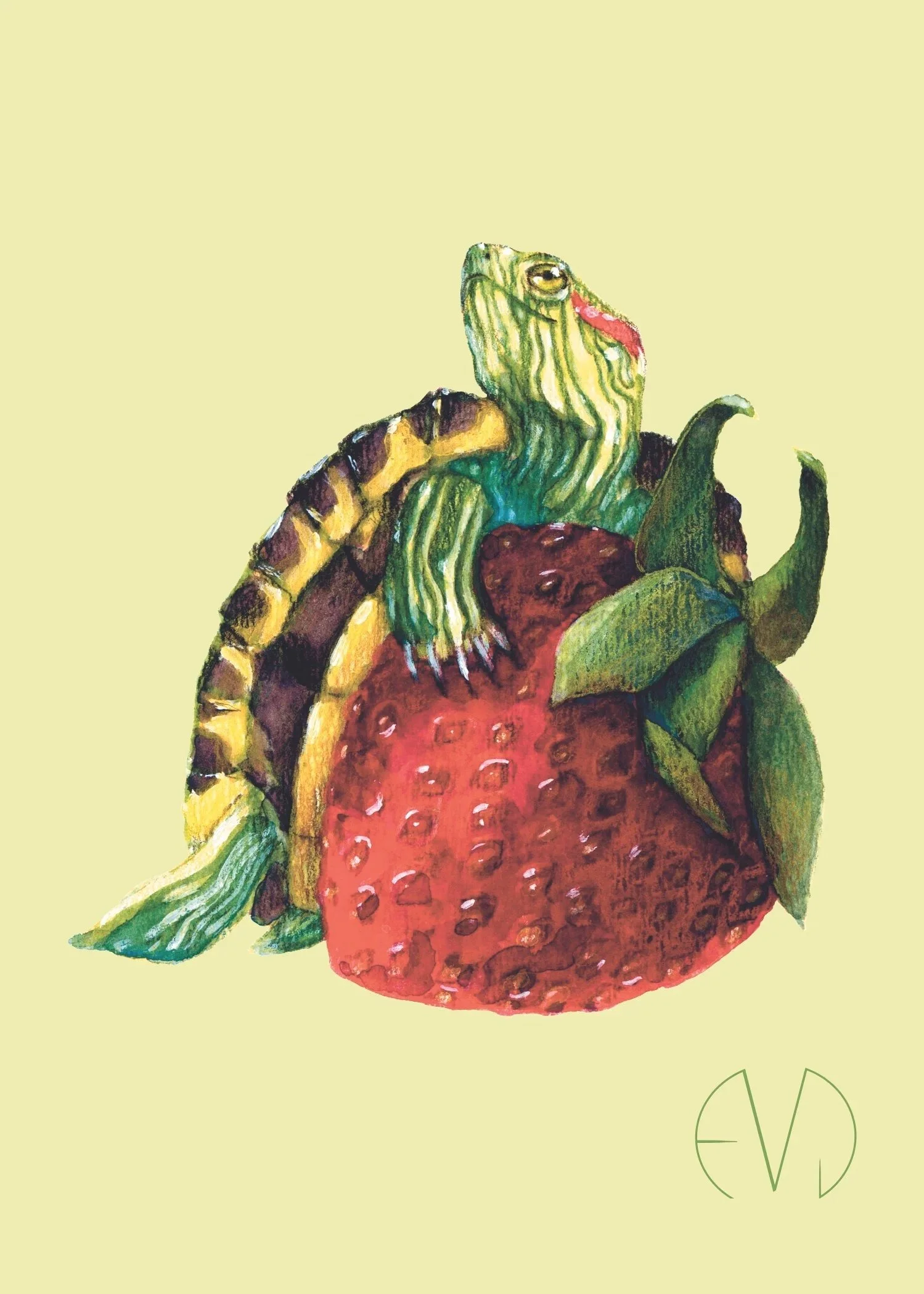 Turtle and Strawberry Print