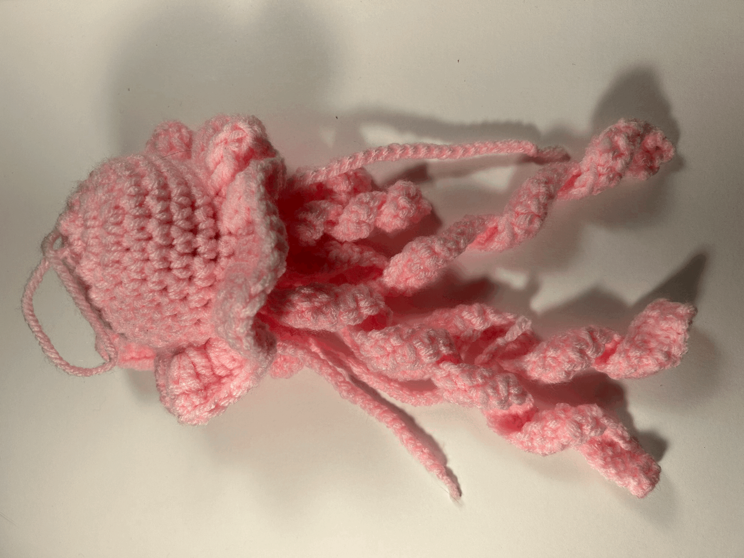 Pink Jellyfish