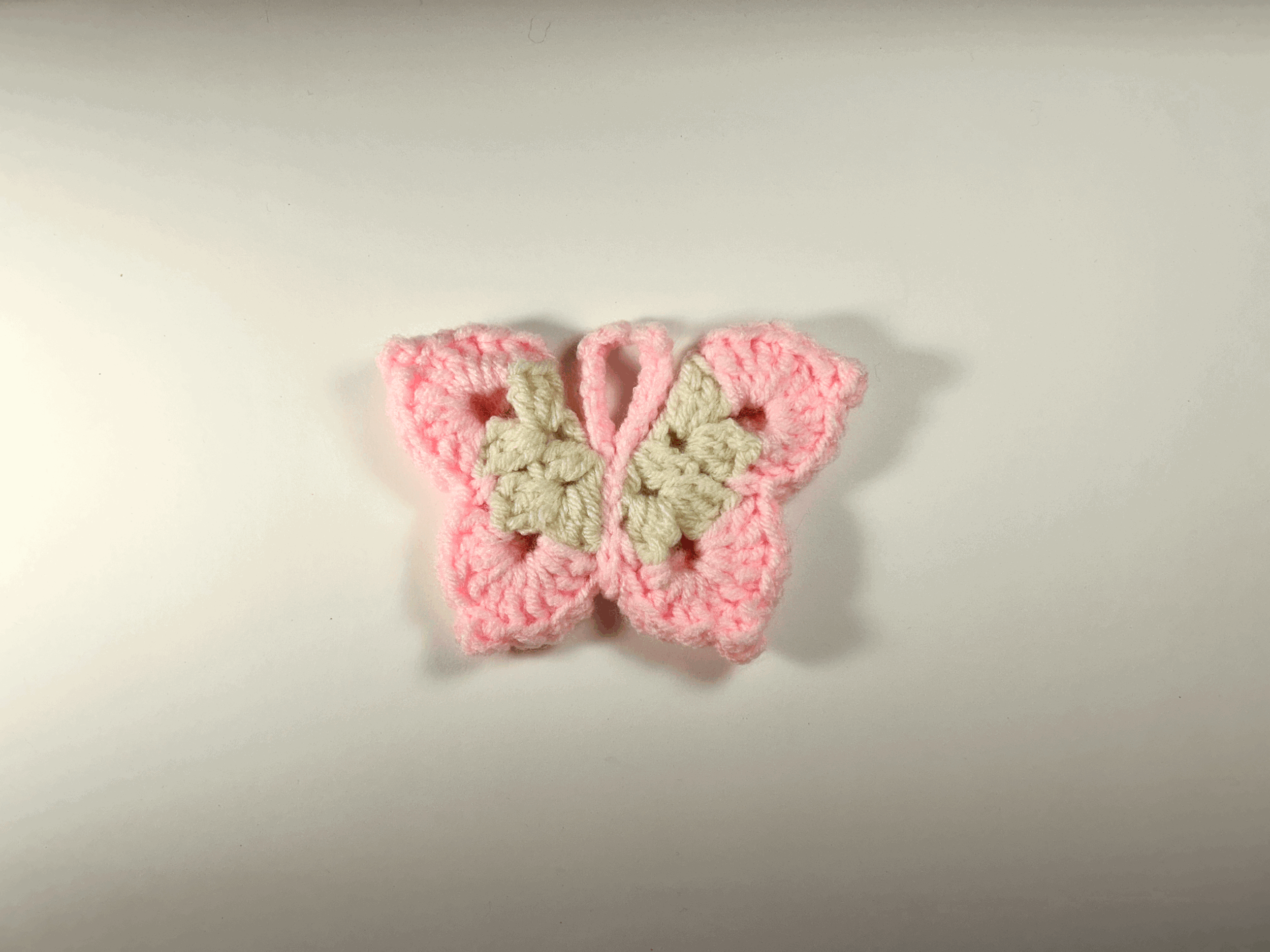 White and Pink Butterfly