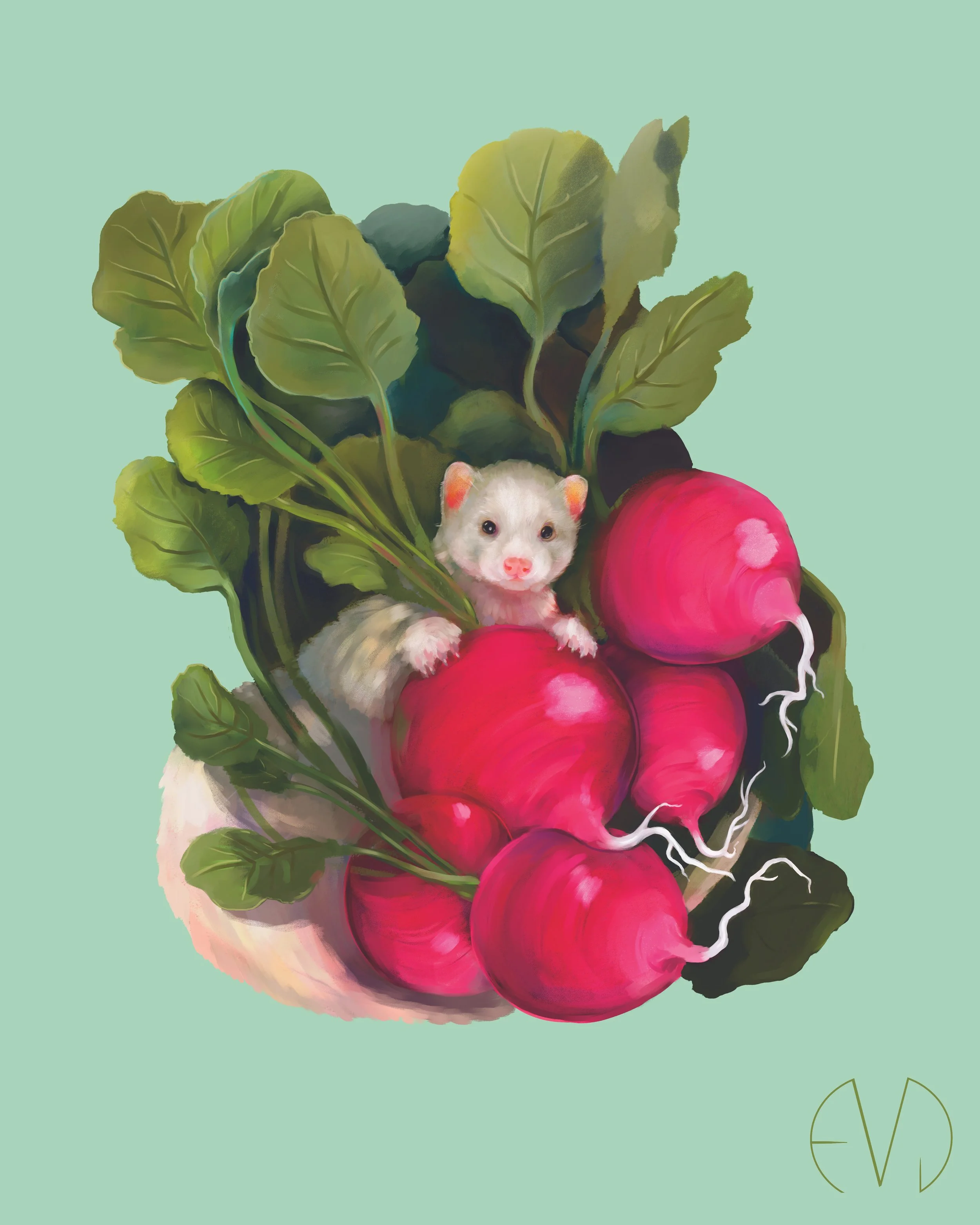 Ferret and Radishes Print