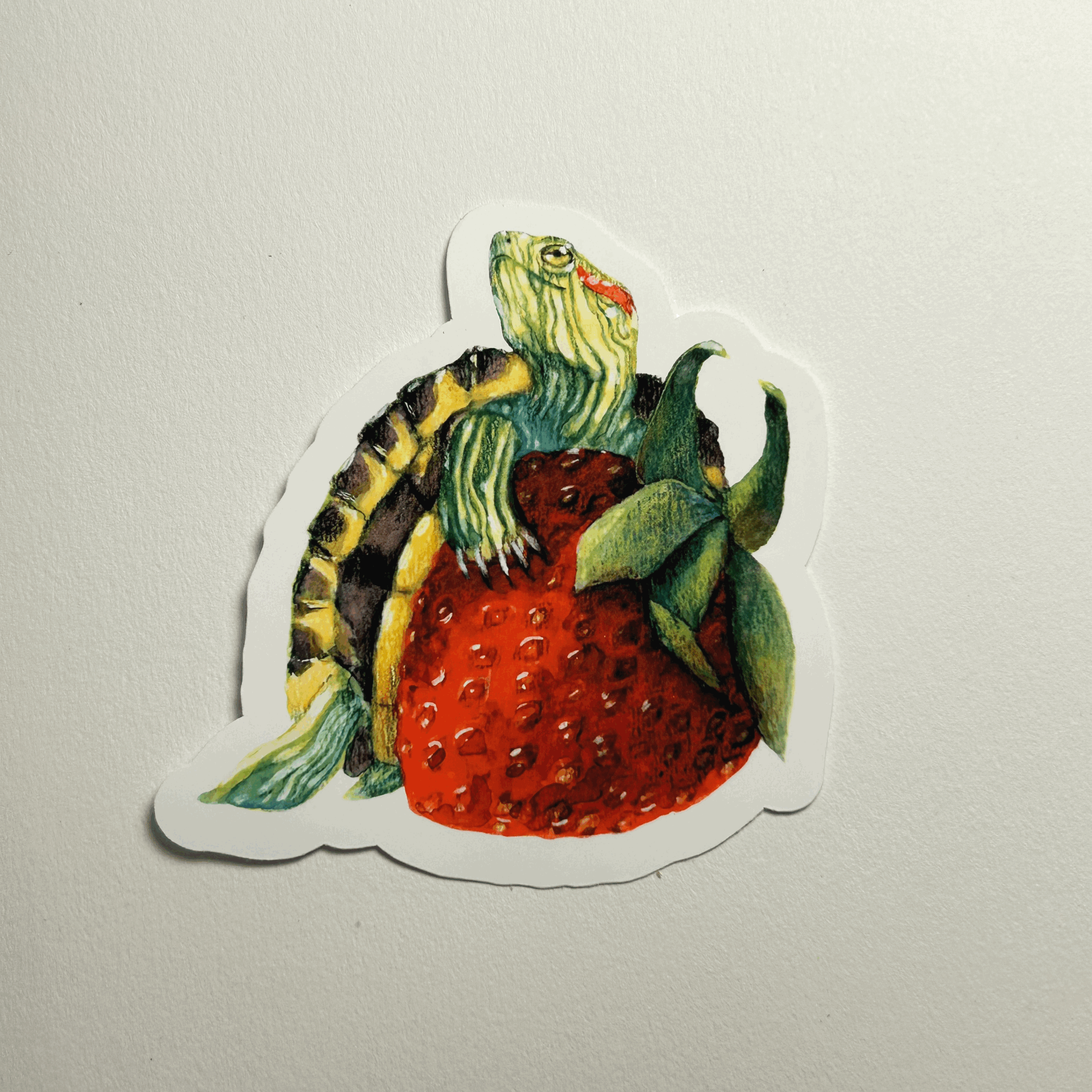 Turtle and Strawberry Sticker