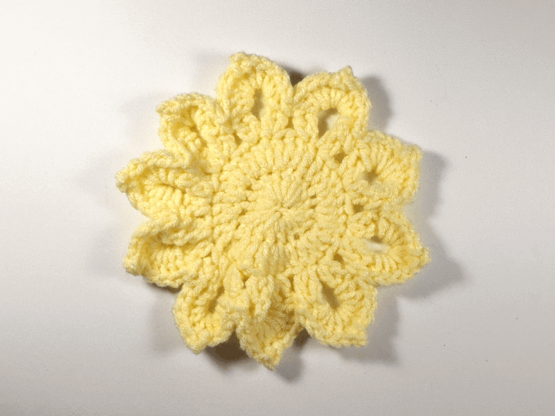 Light Yellow Flat Sunflower