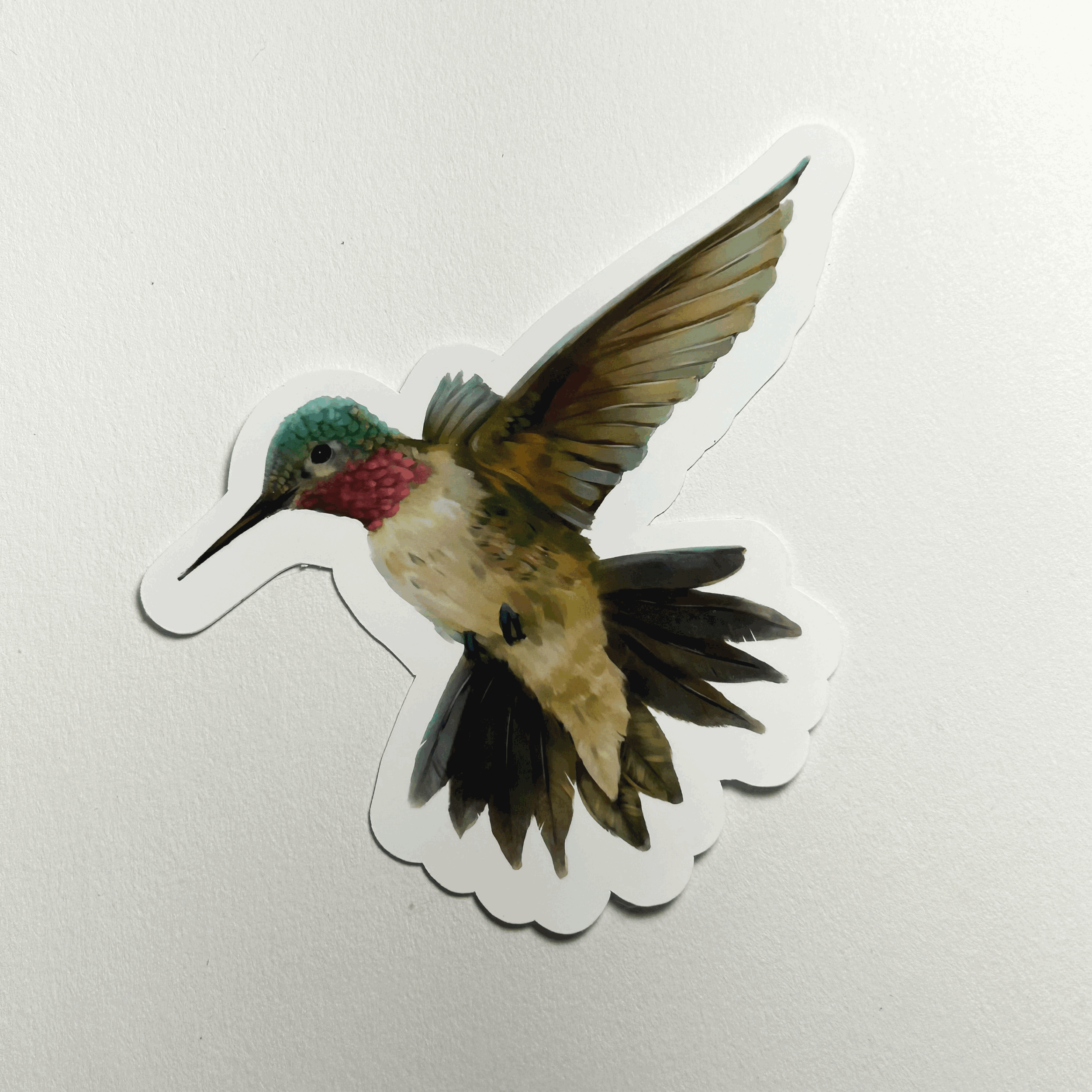 Hummingbird Sticker