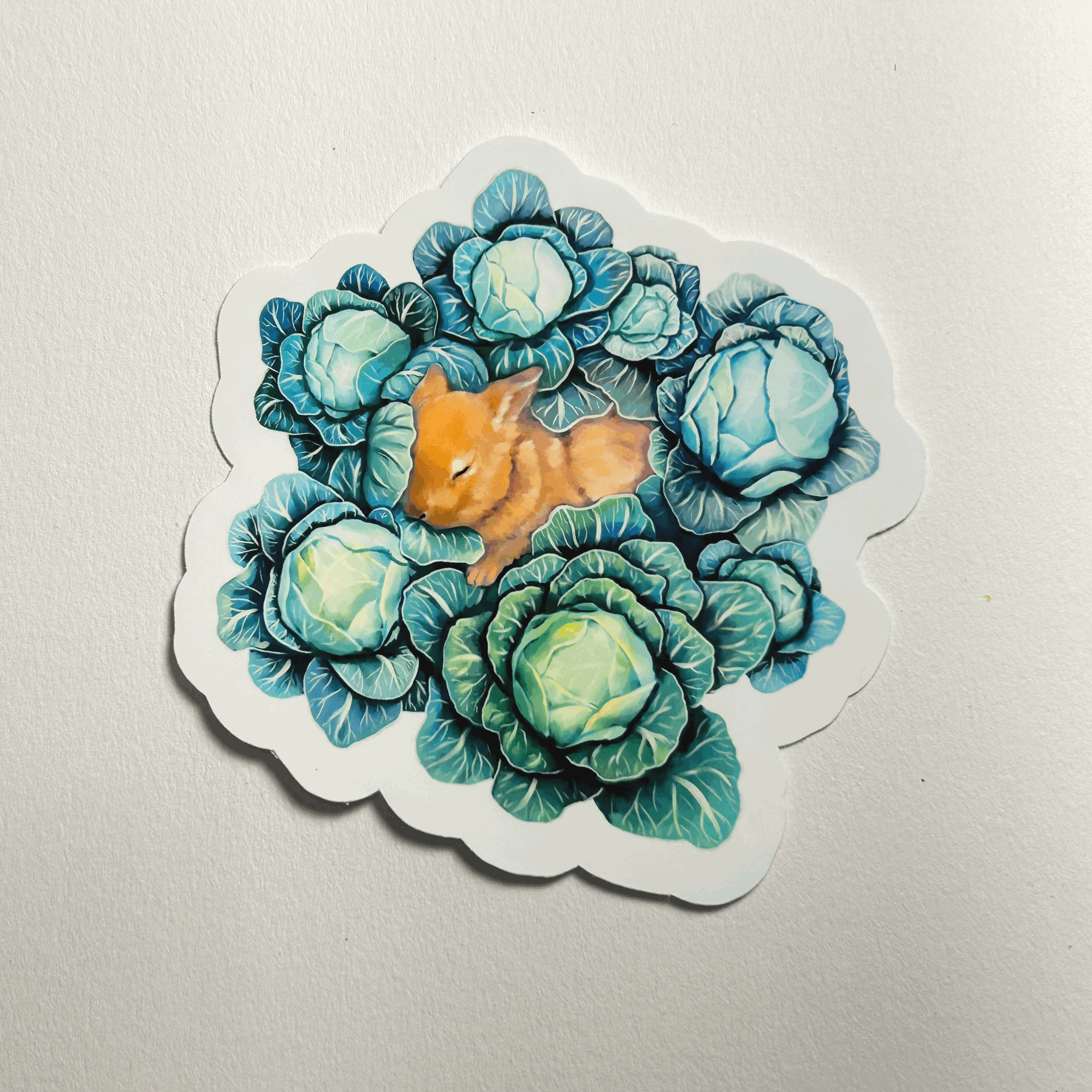 Bunny and Cabbage Sticker