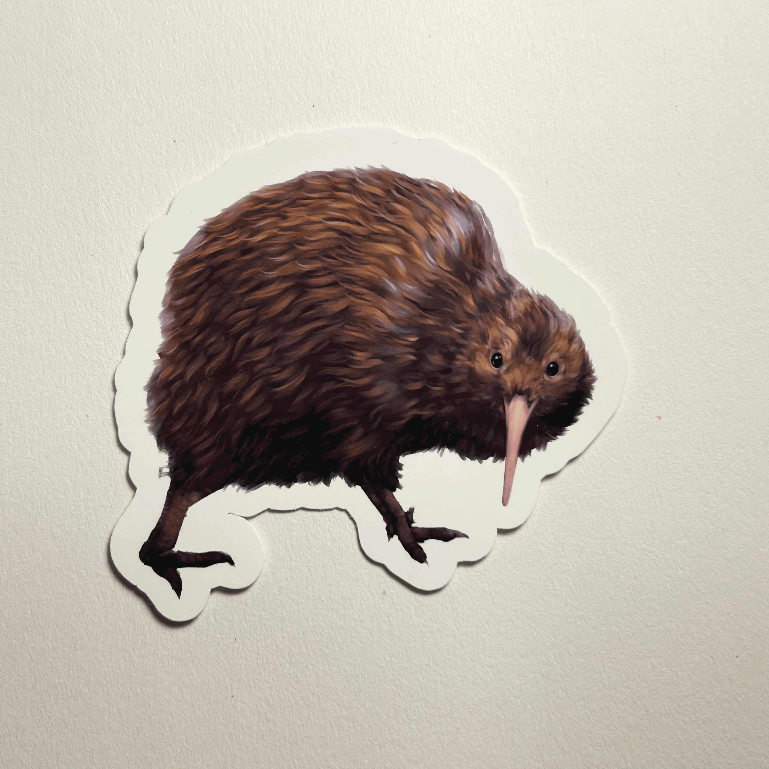 Kiwi Sticker
