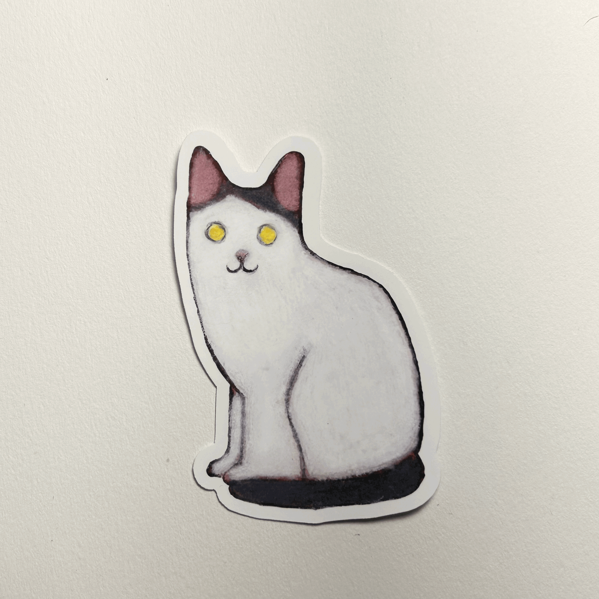 White and Gray Cat Sticker