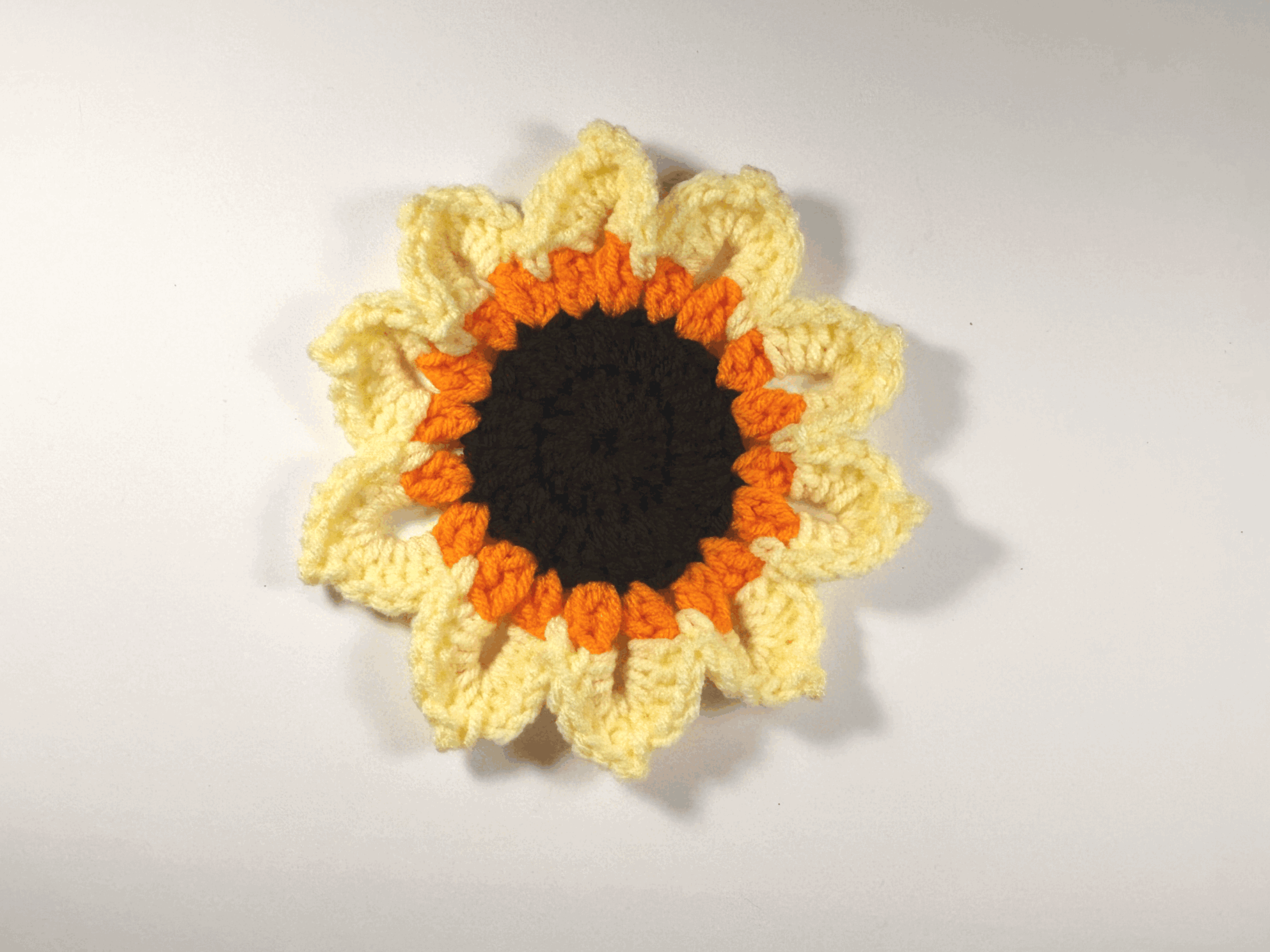 Orange and Yellow Flat Sunflower