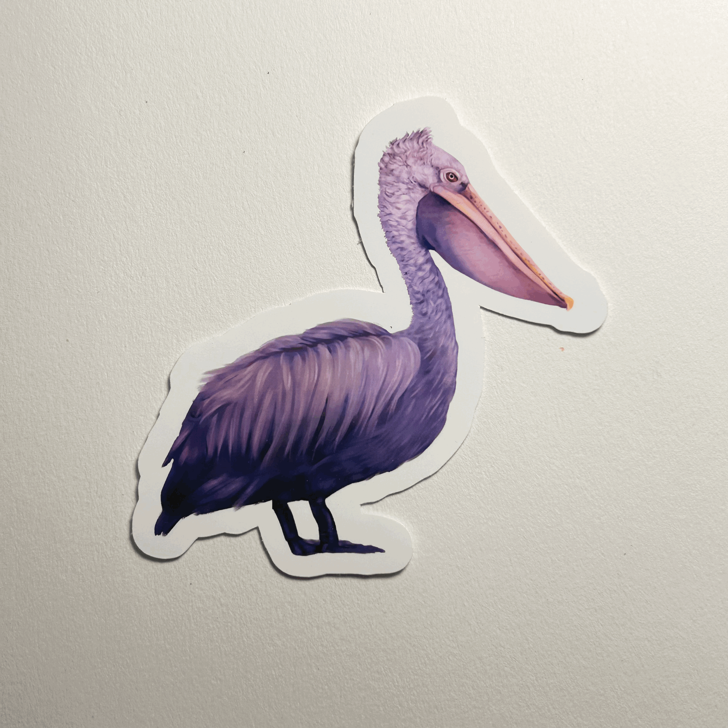 Pelican Sticker