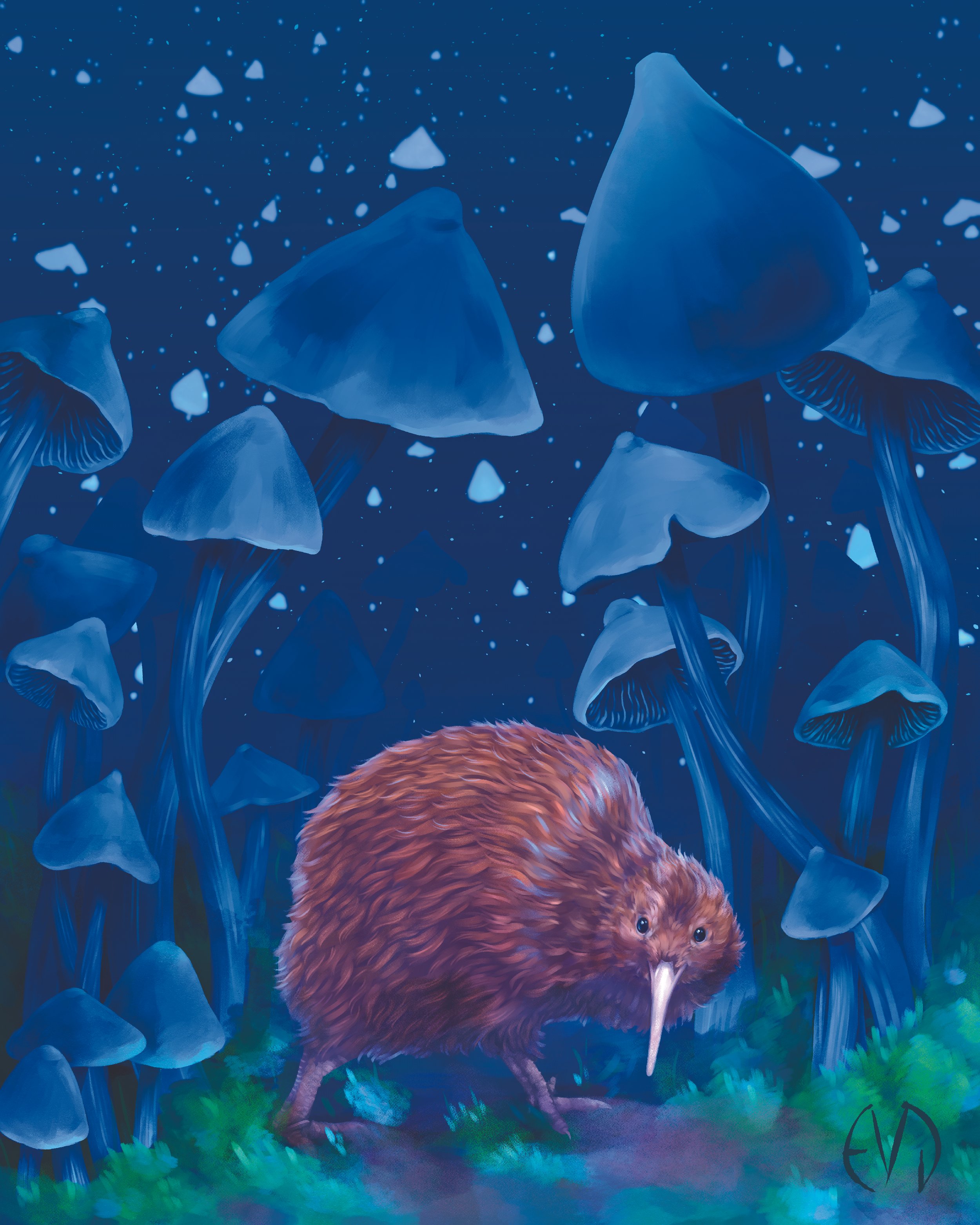 Kiwi and Fungus Print