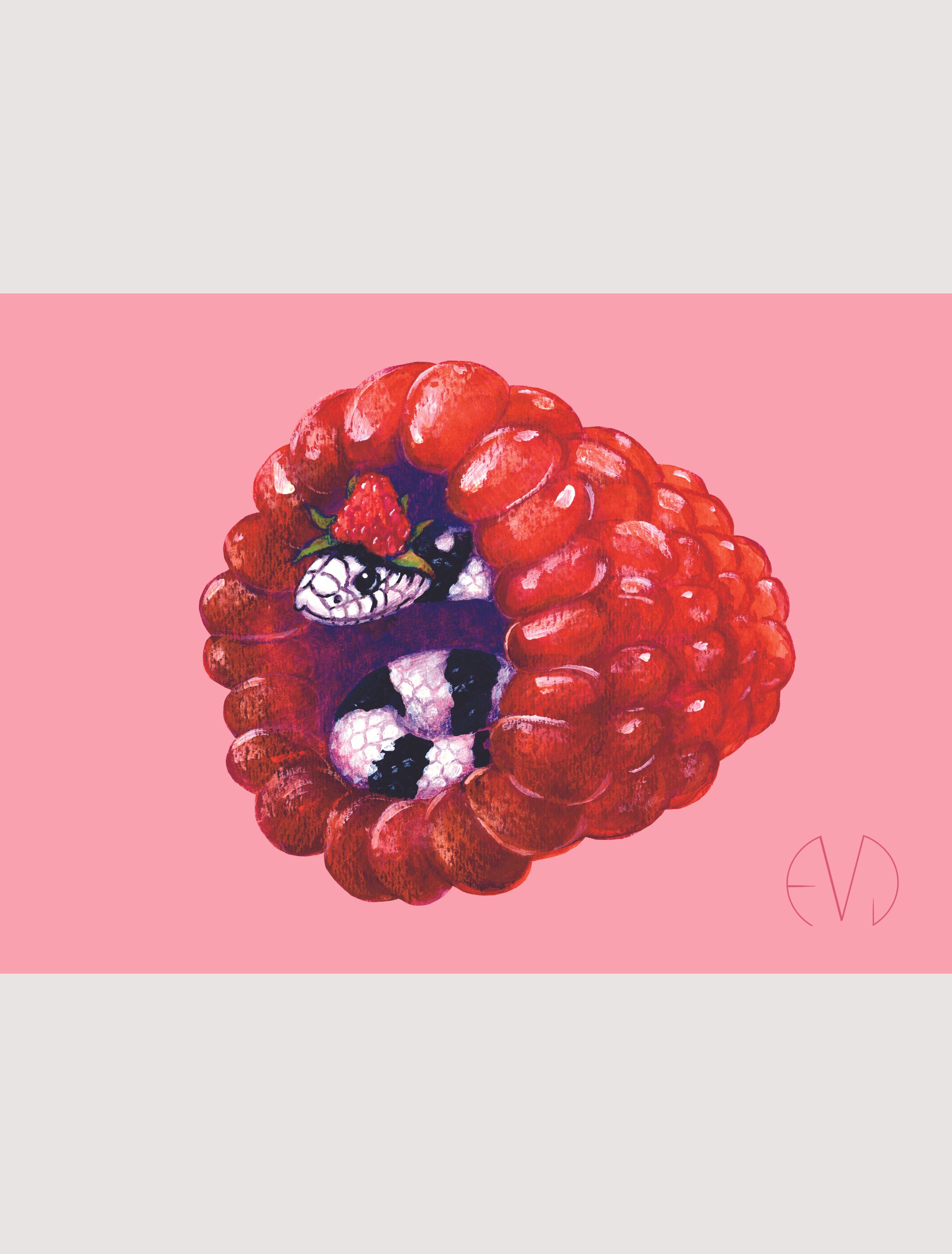 Snake and Raspberry Print