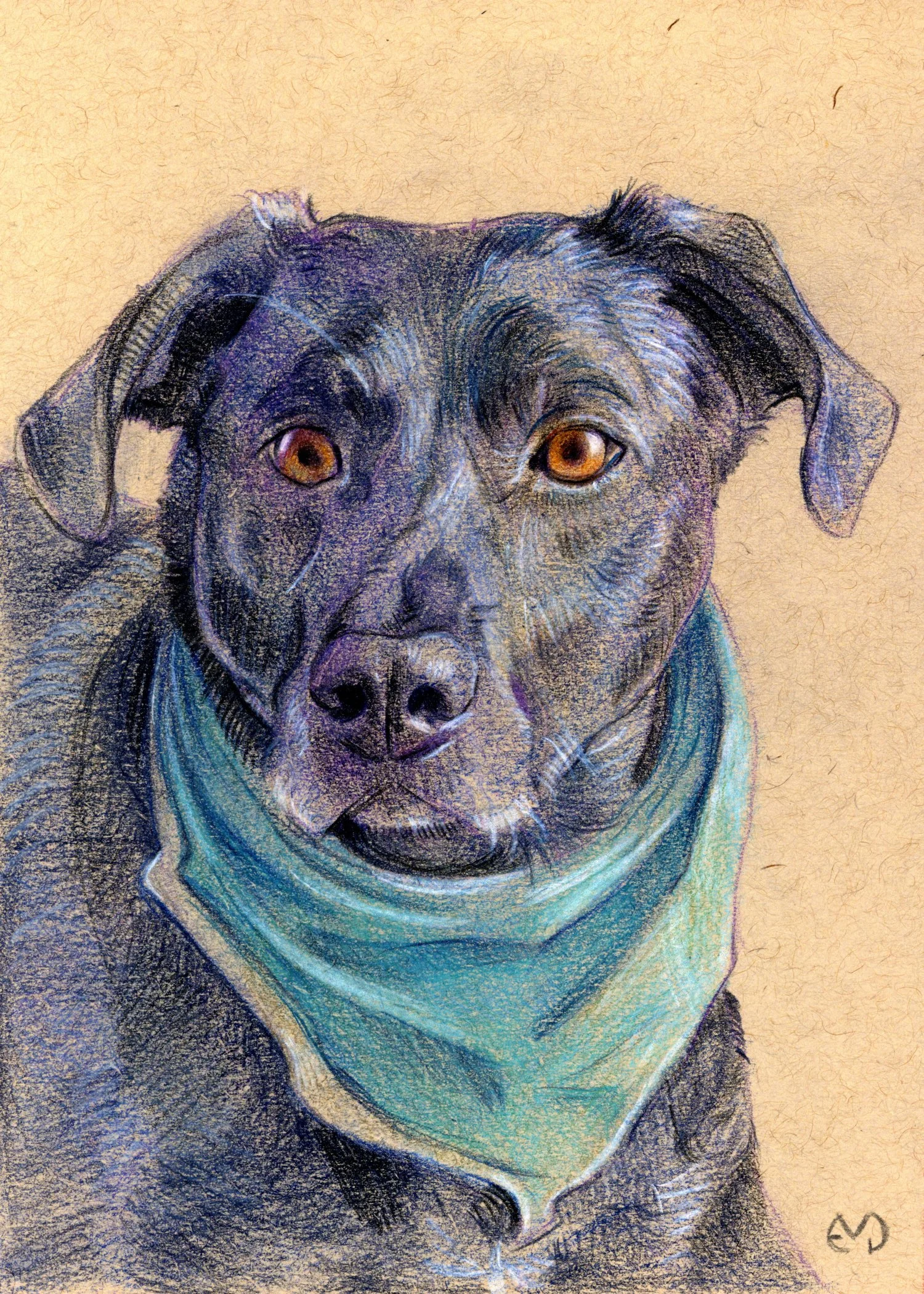 Custom Colored Pencil Portrait: 5×7”