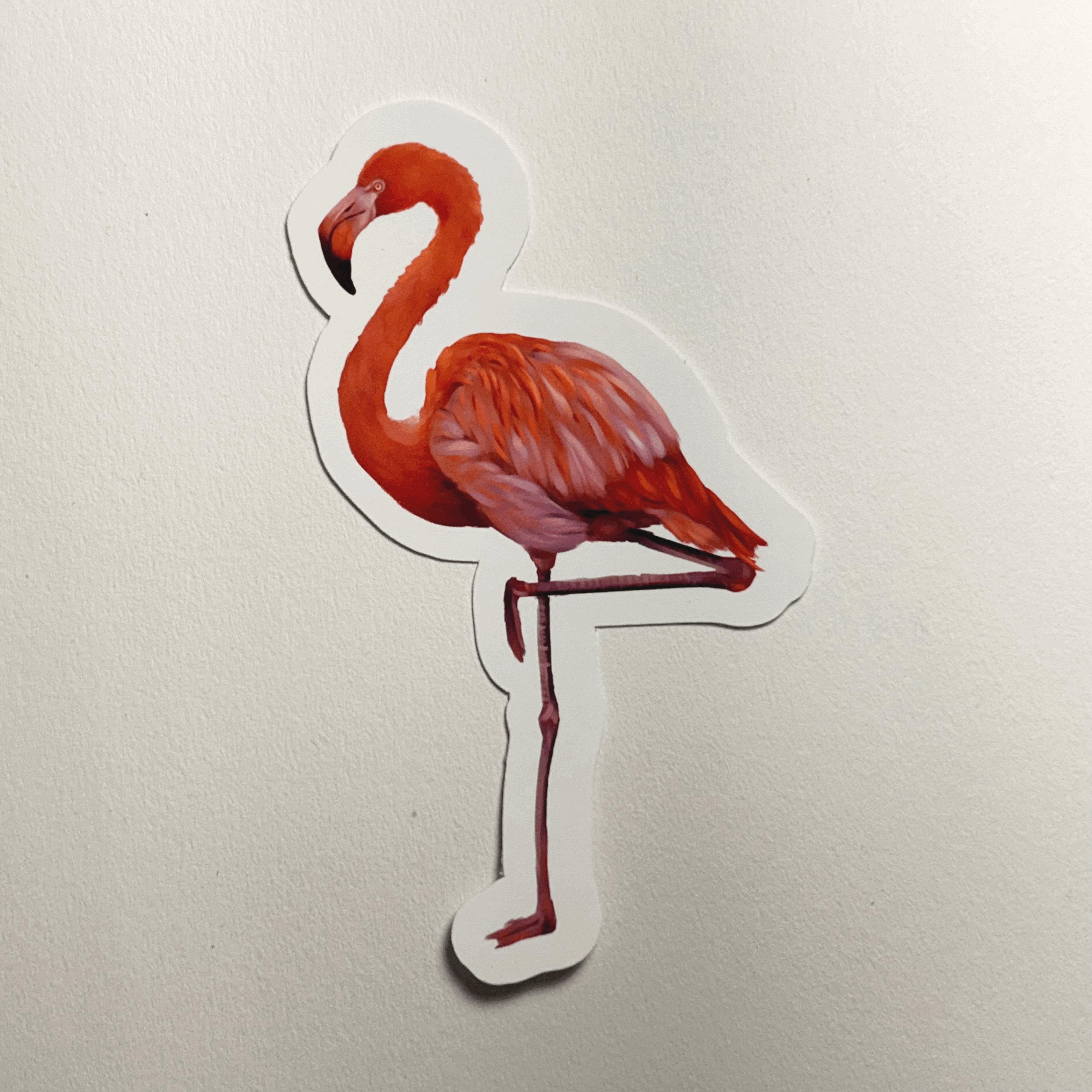 Flamingo Sticker