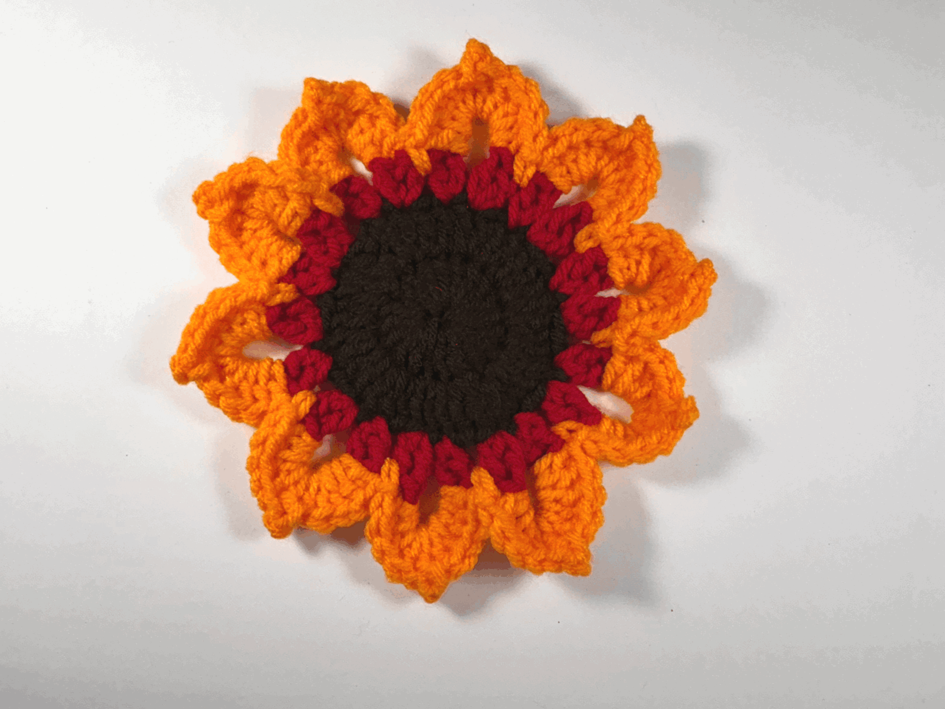 Red and Orange Flat Sunflower